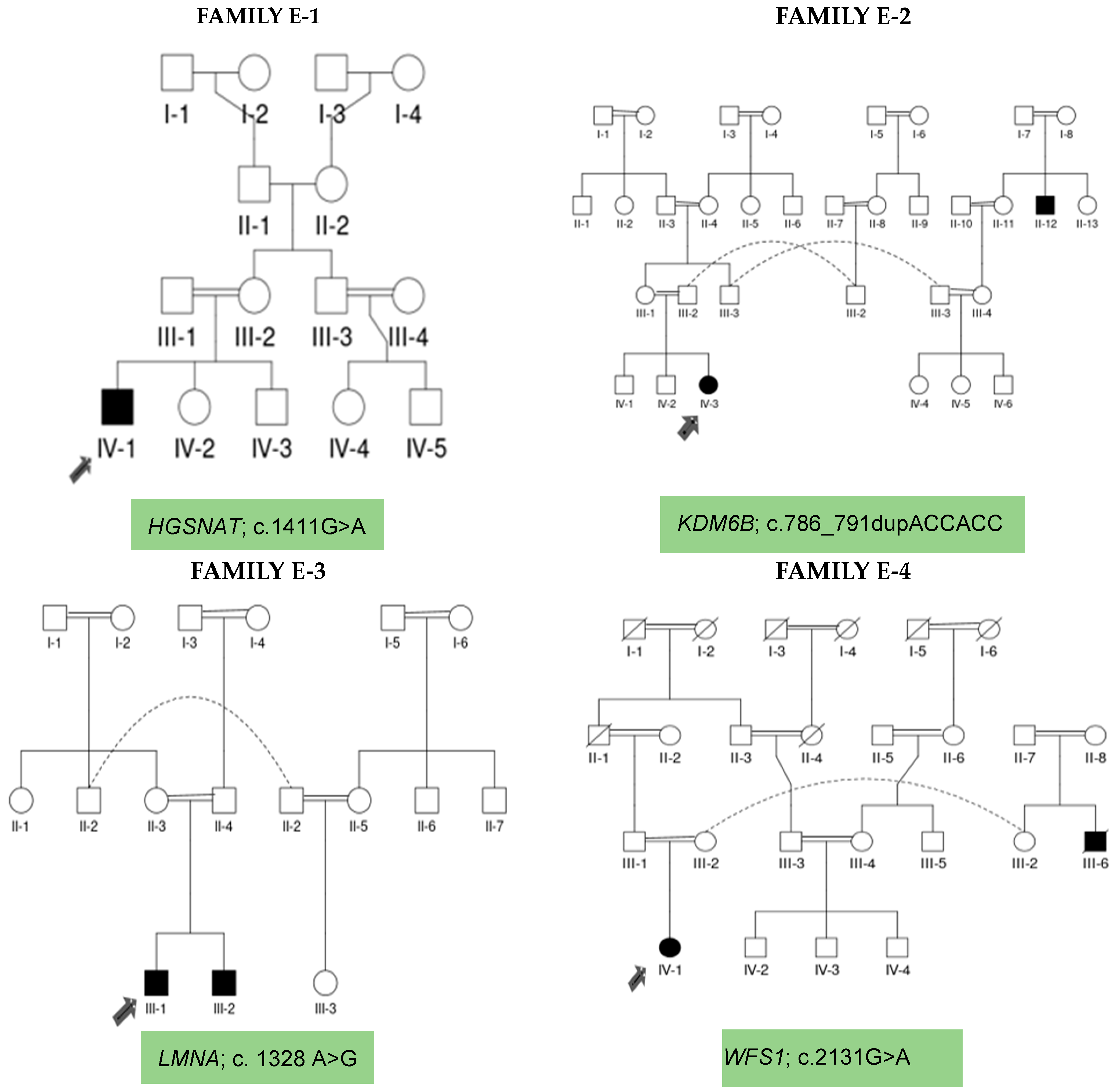 Biomedicines 12 02736 g001