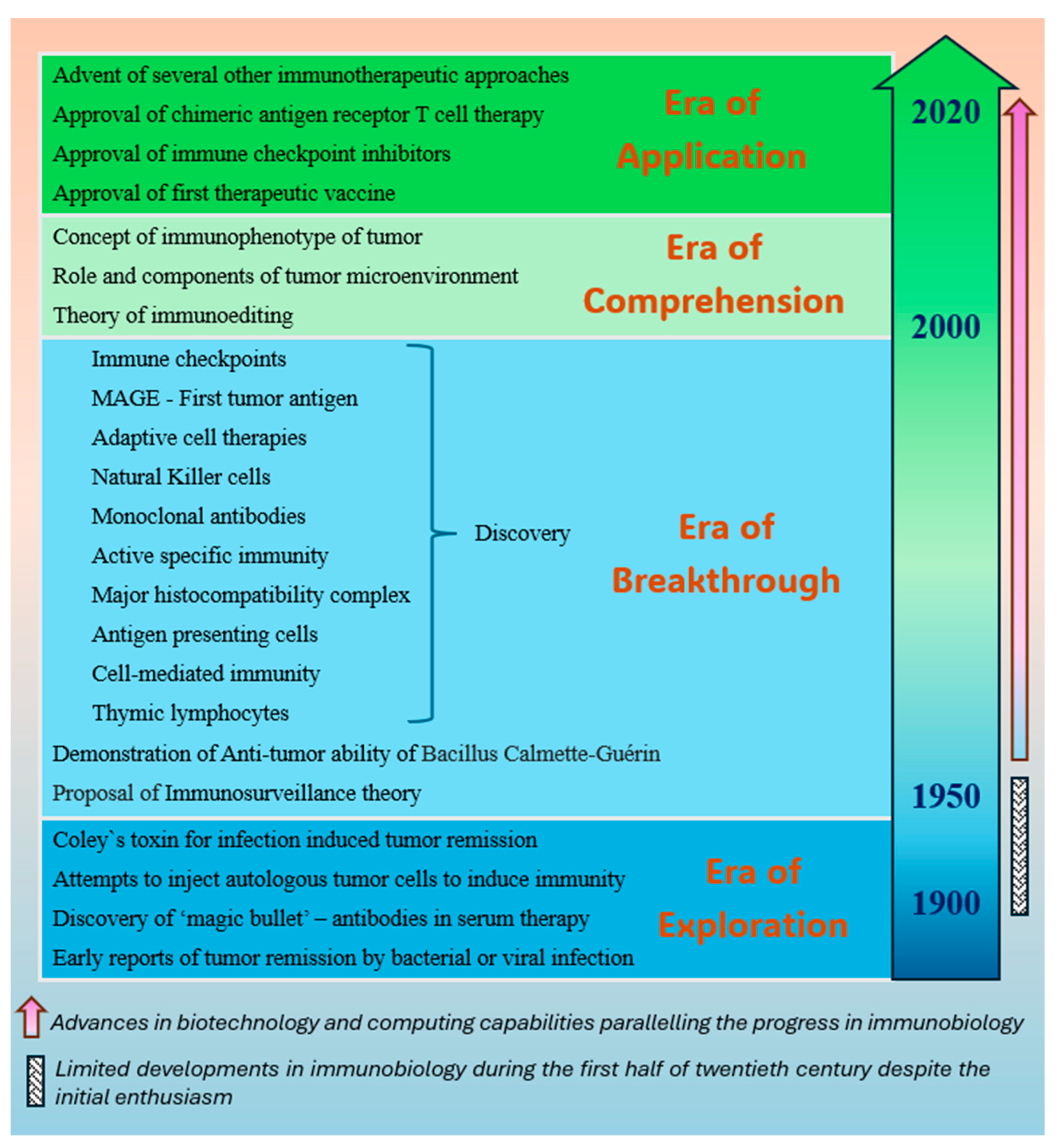 Biomedicines 12 02746 g001