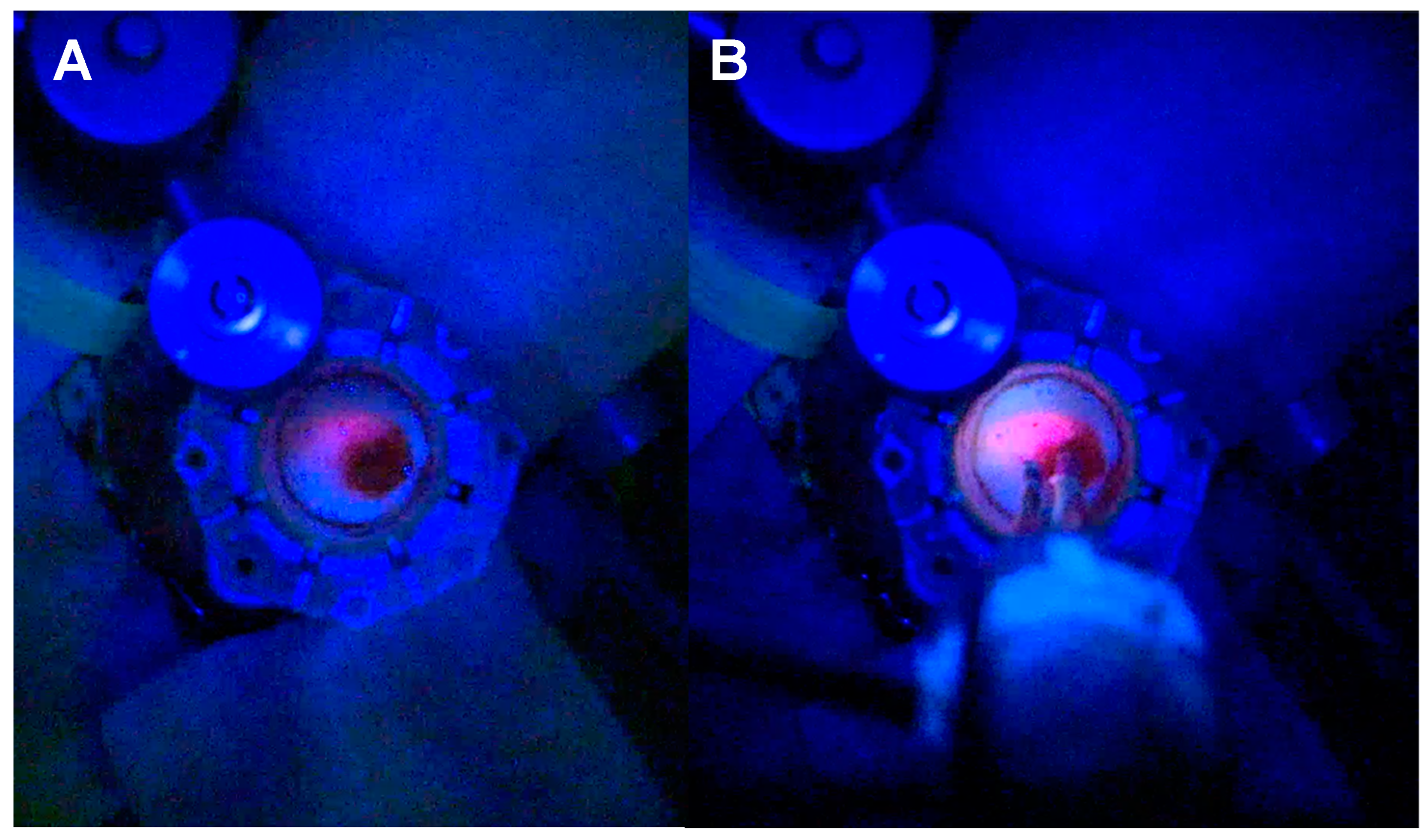 Biomedicines 12 02748 g004