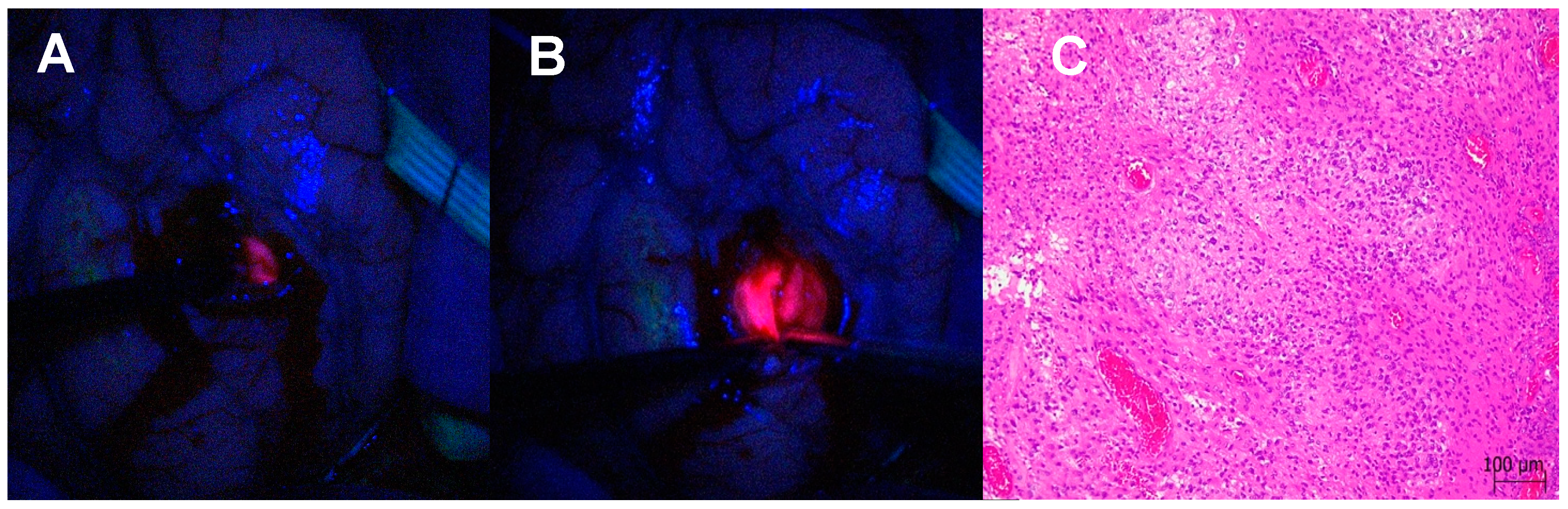 Biomedicines 12 02748 g009