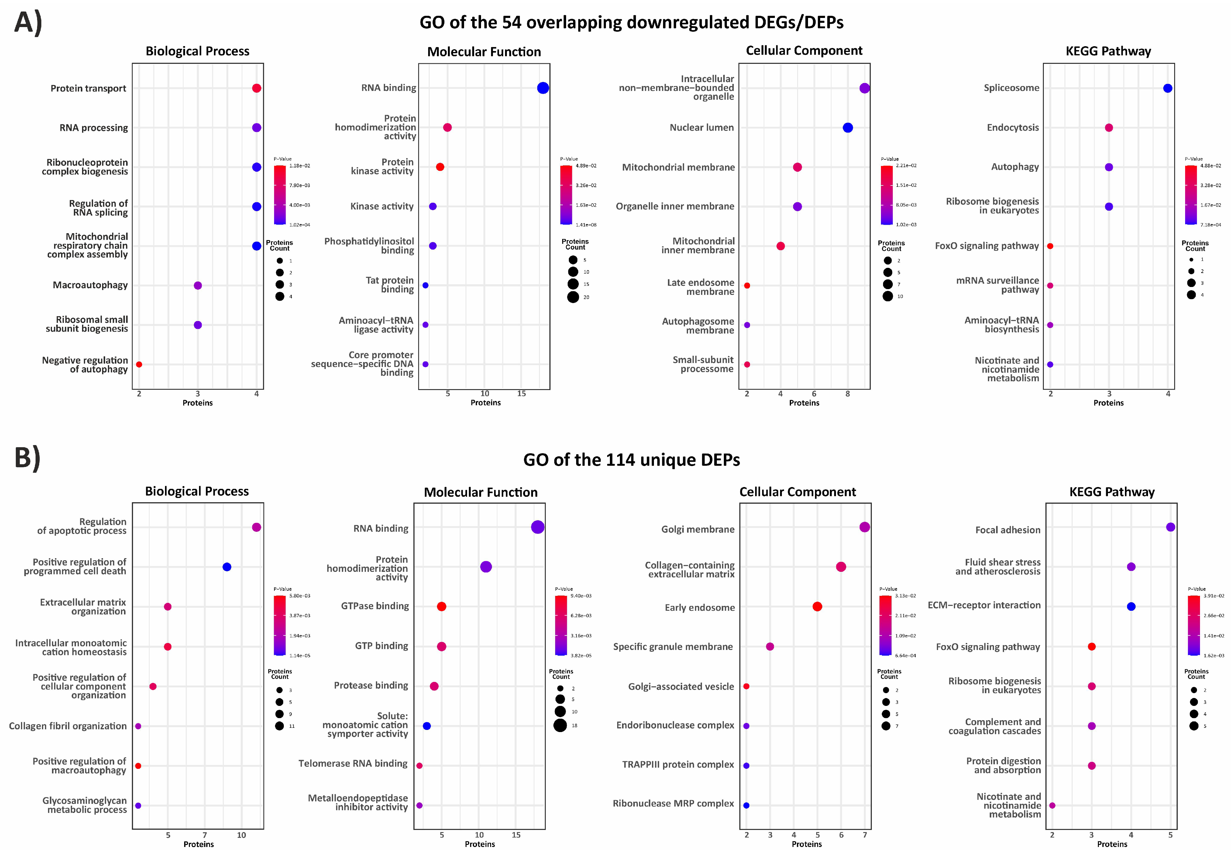 Biomedicines 12 02749 g002