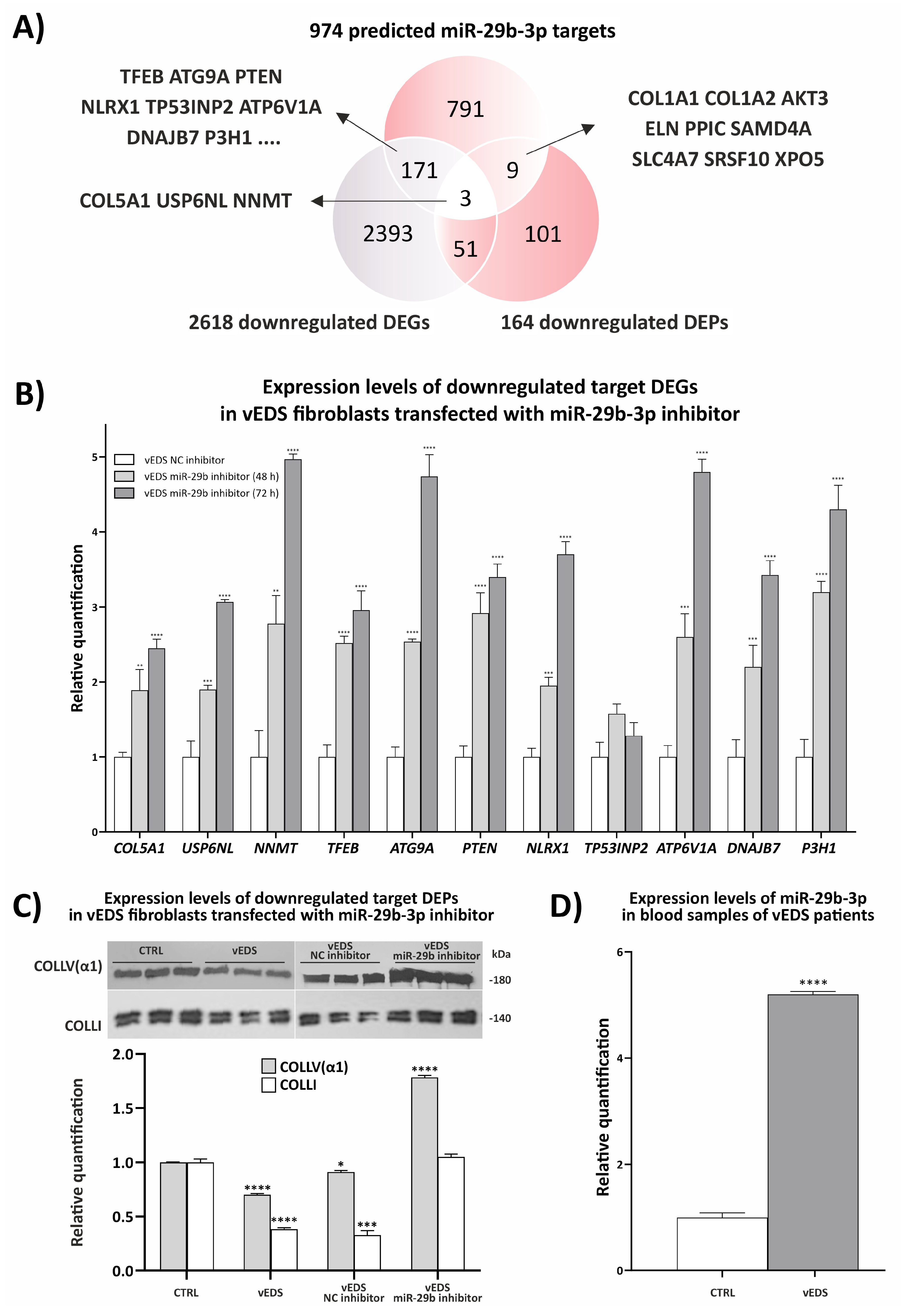 Biomedicines 12 02749 g004