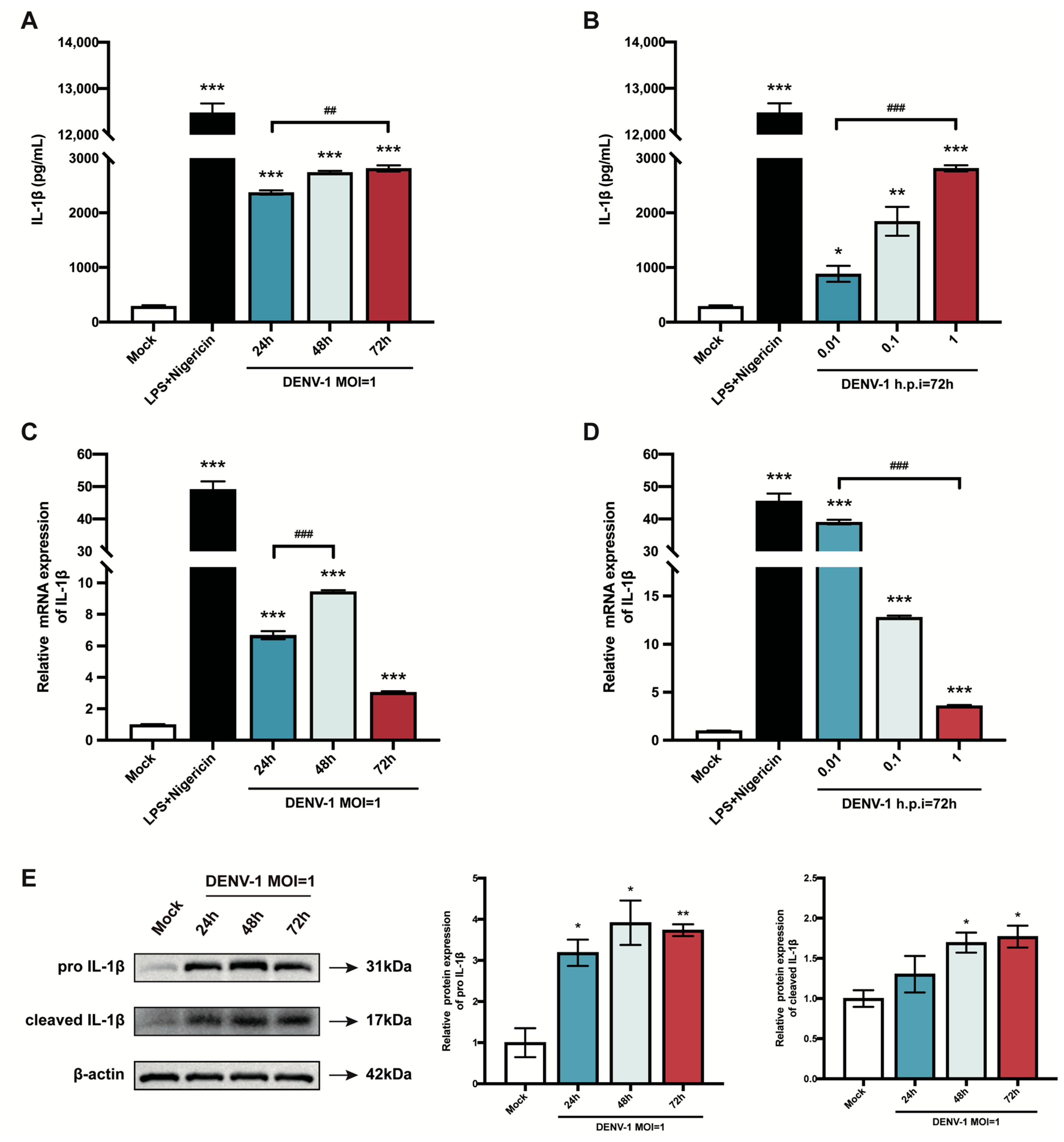 Biomedicines 12 02752 g002