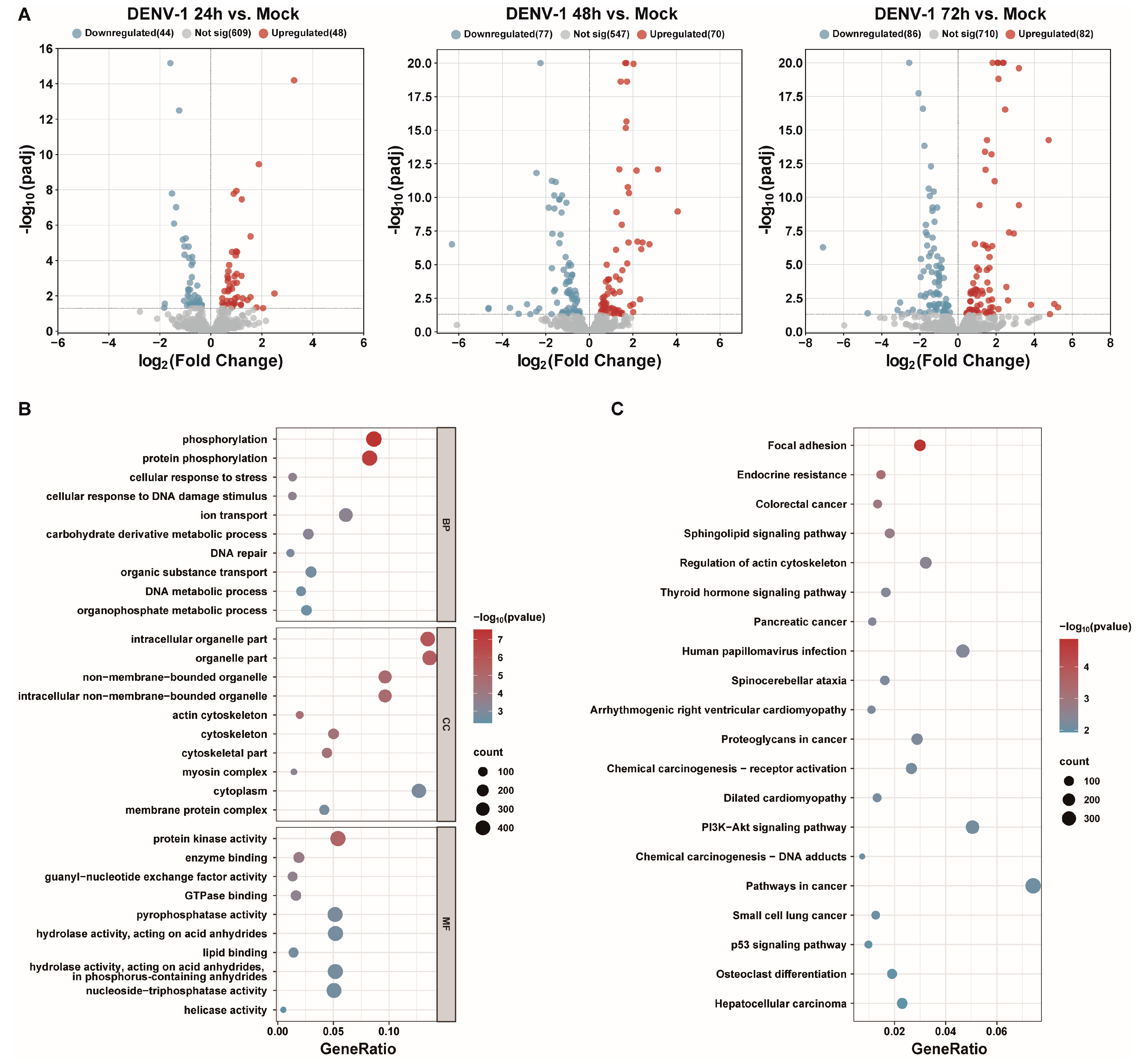 Biomedicines 12 02752 g004