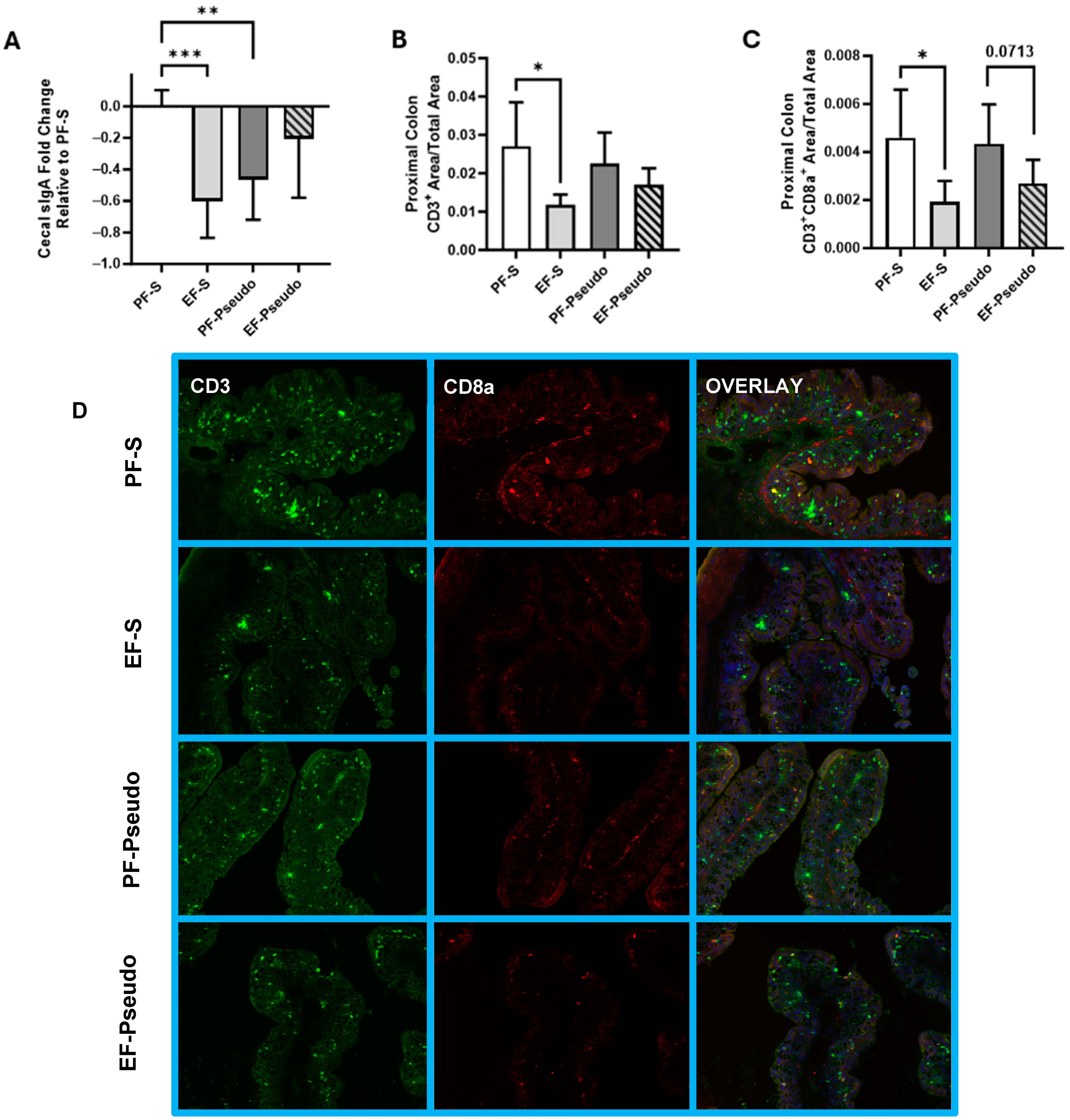 Biomedicines 12 02757 g004
