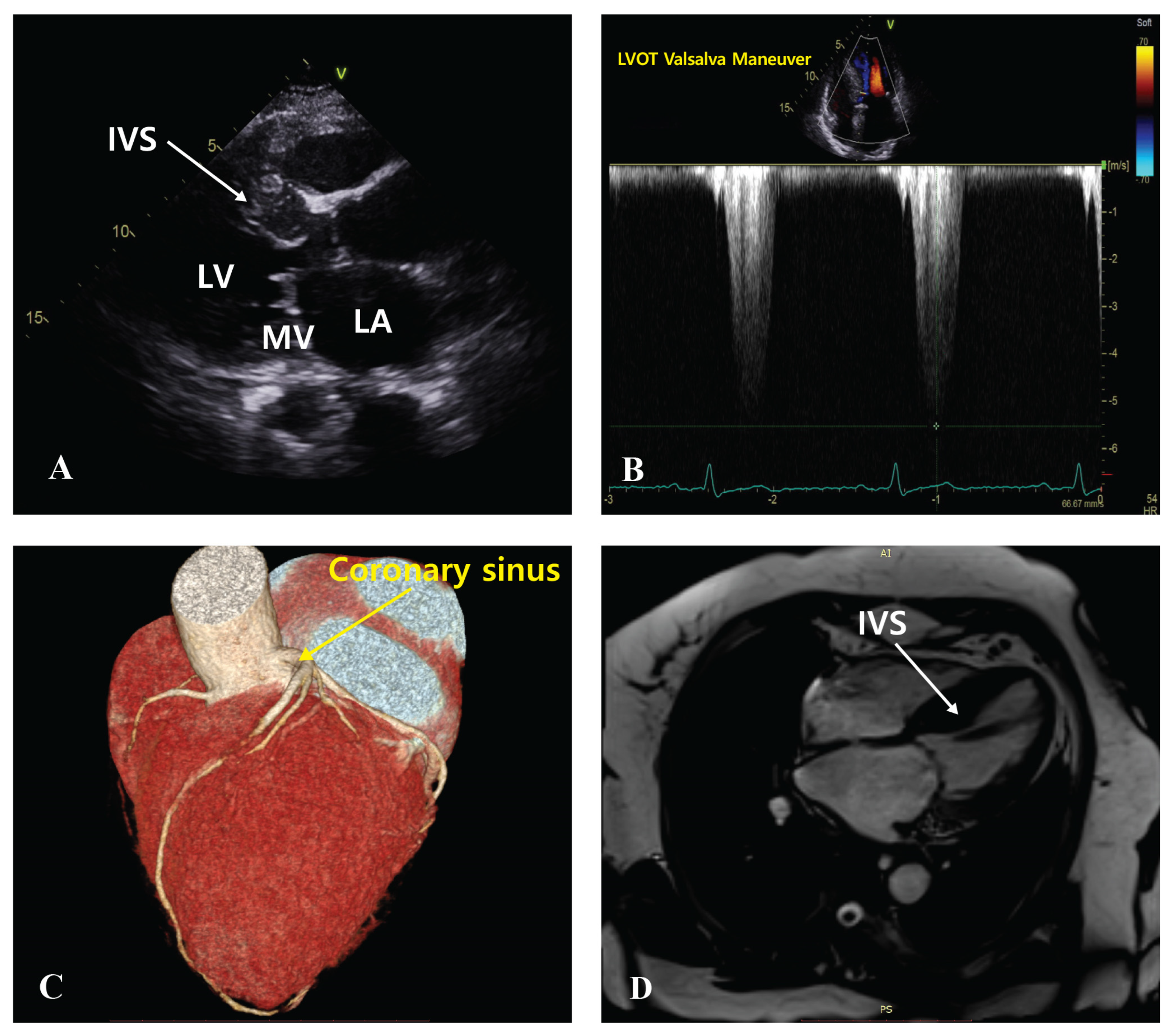 Biomedicines 12 02762 g003