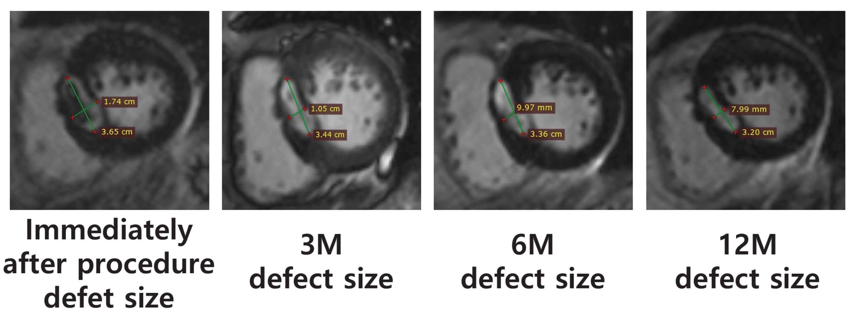 Biomedicines 12 02762 g005