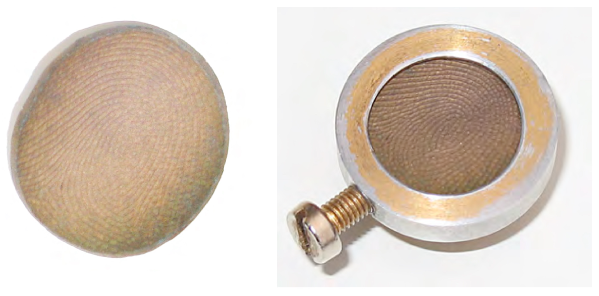 Biomedicines 12 02768 g001