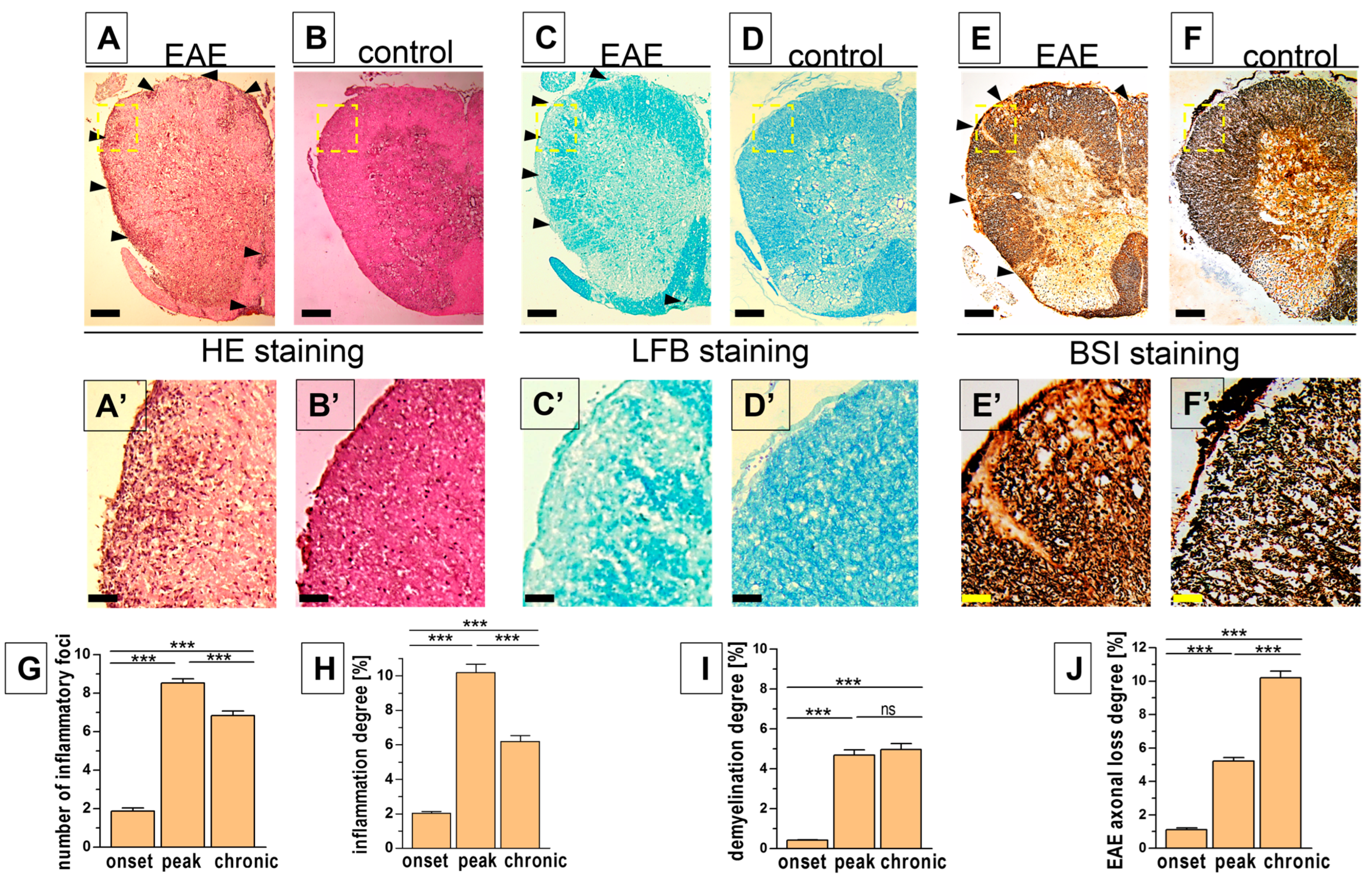 Biomedicines 12 02770 g002