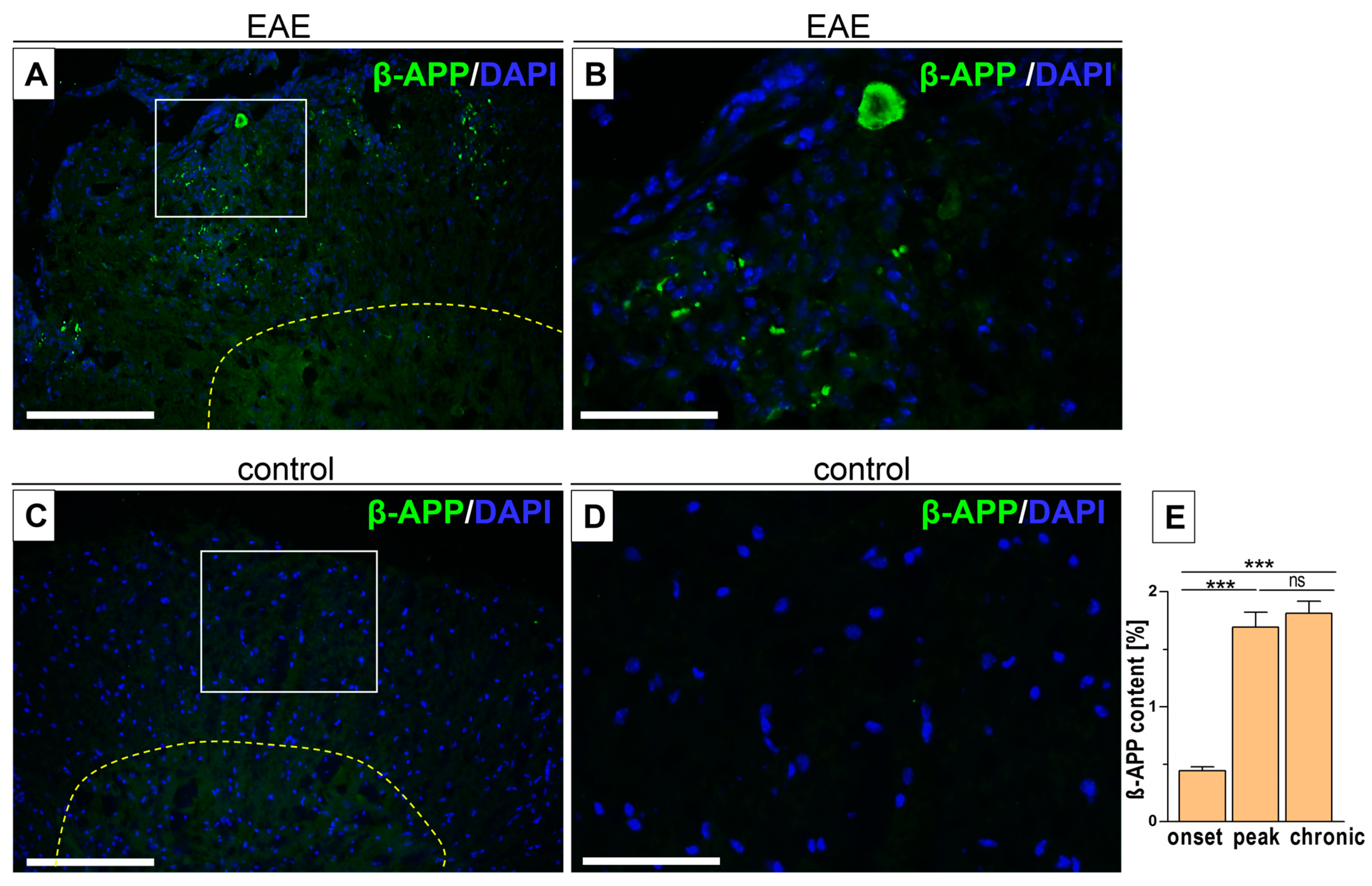 Biomedicines 12 02770 g004