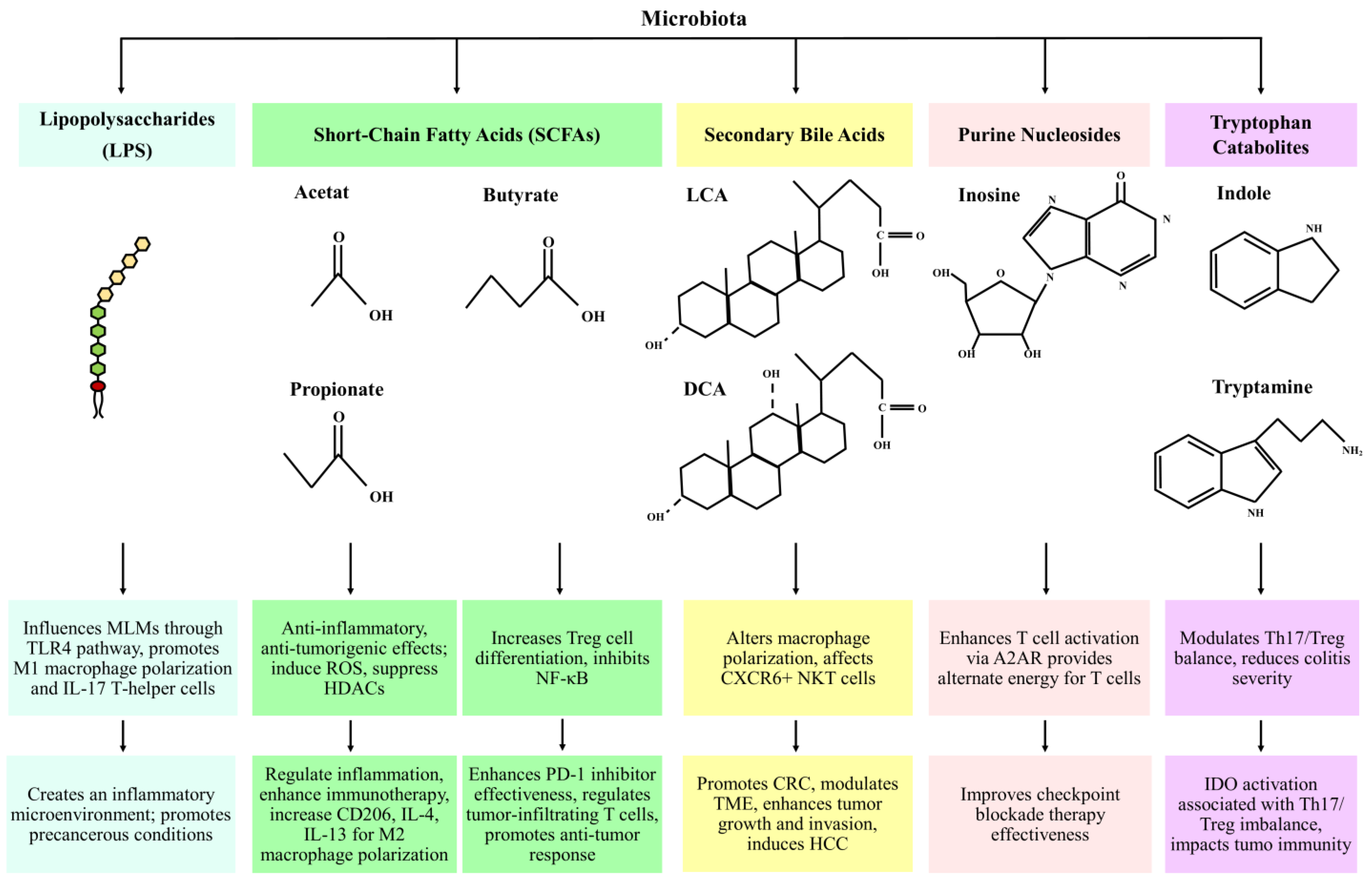 Biomedicines 12 02776 g001