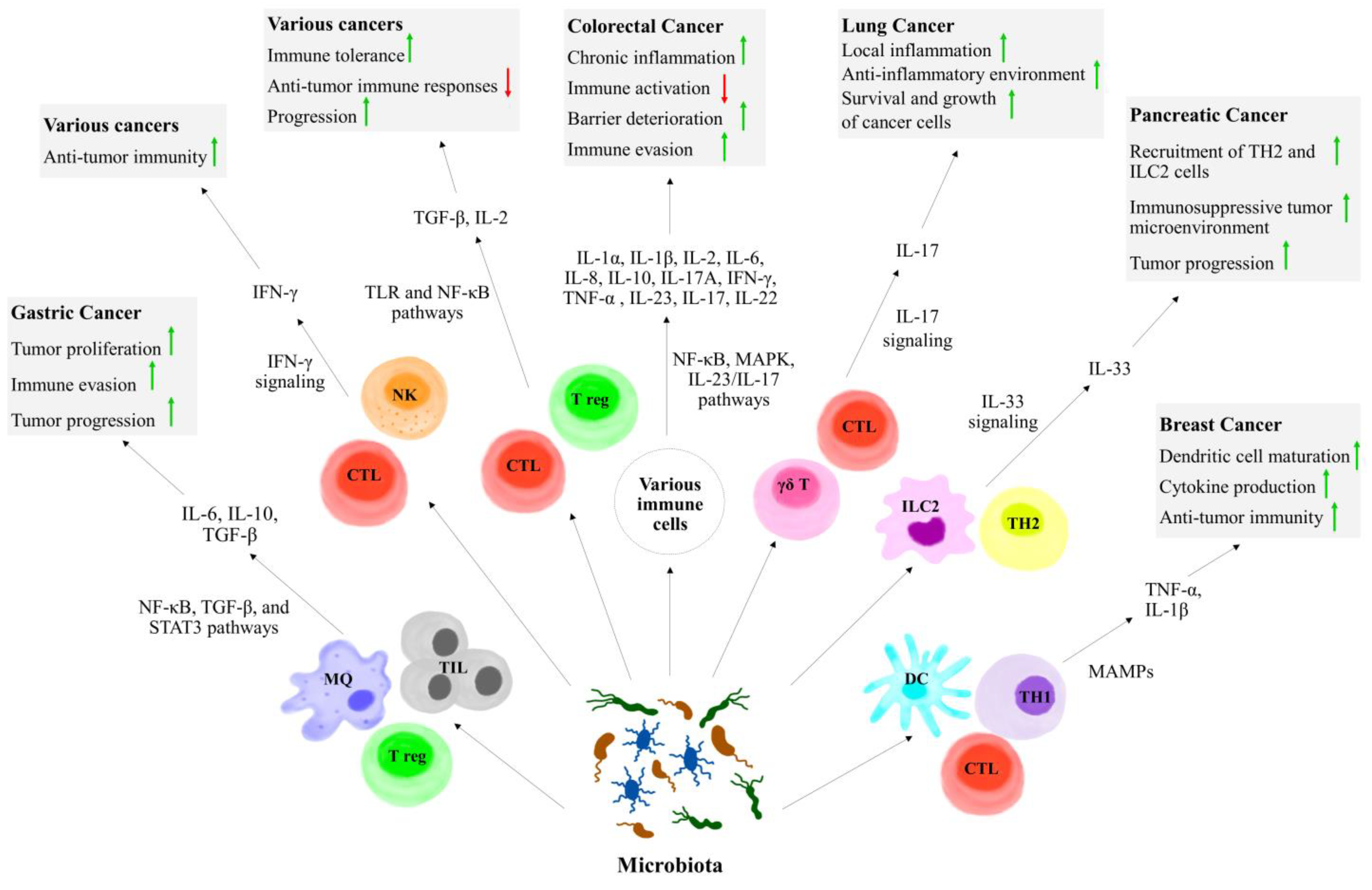 Biomedicines 12 02776 g002