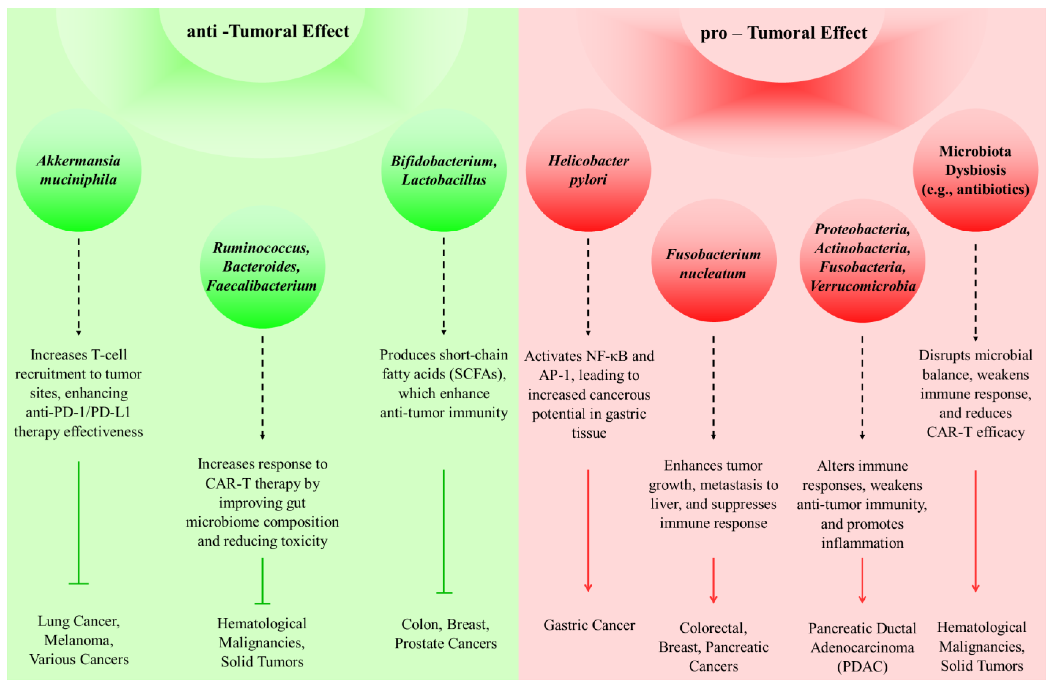 Biomedicines 12 02776 g003
