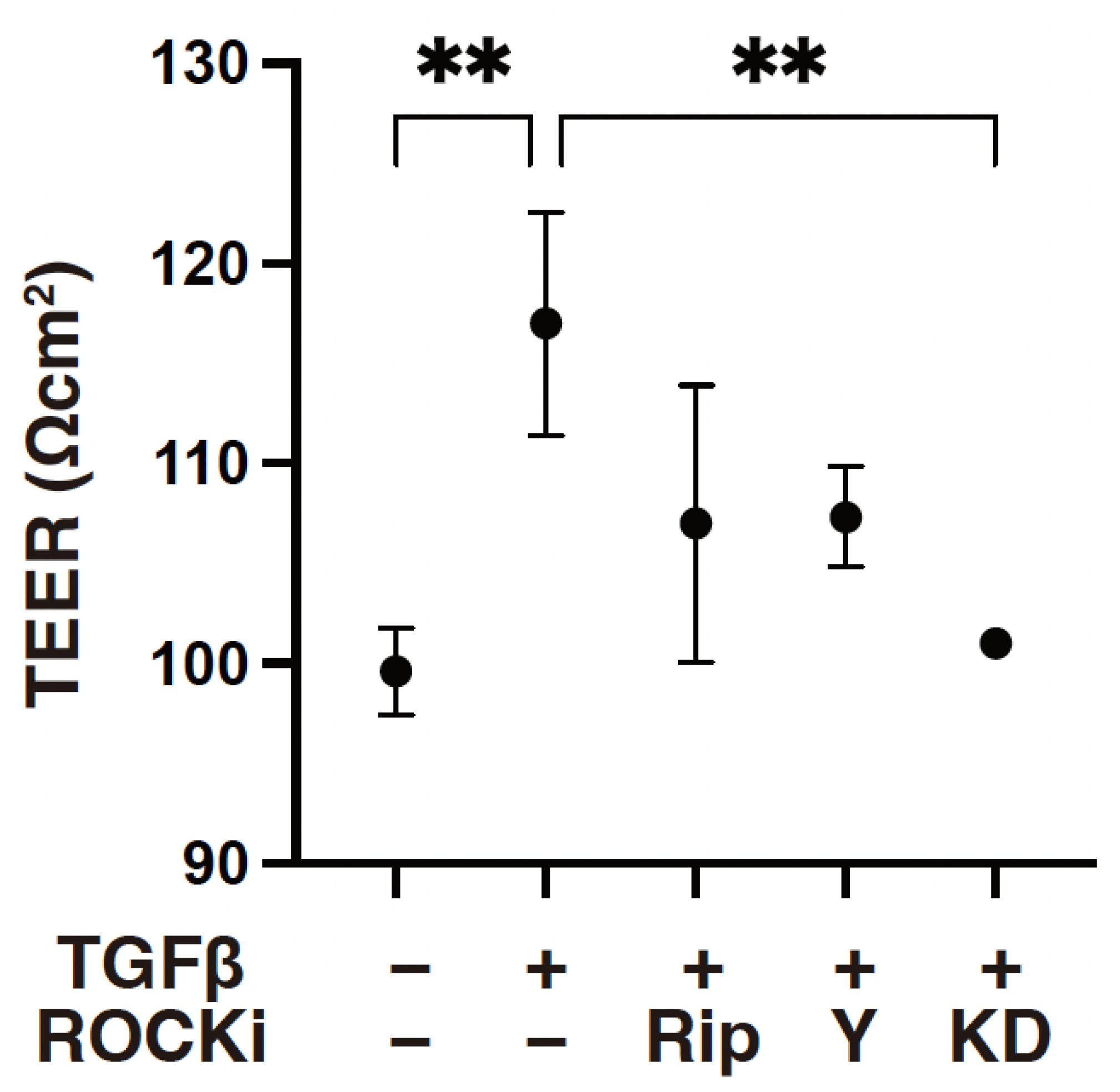 Biomedicines 12 02784 g001 Biomedicines 12 02784 g001