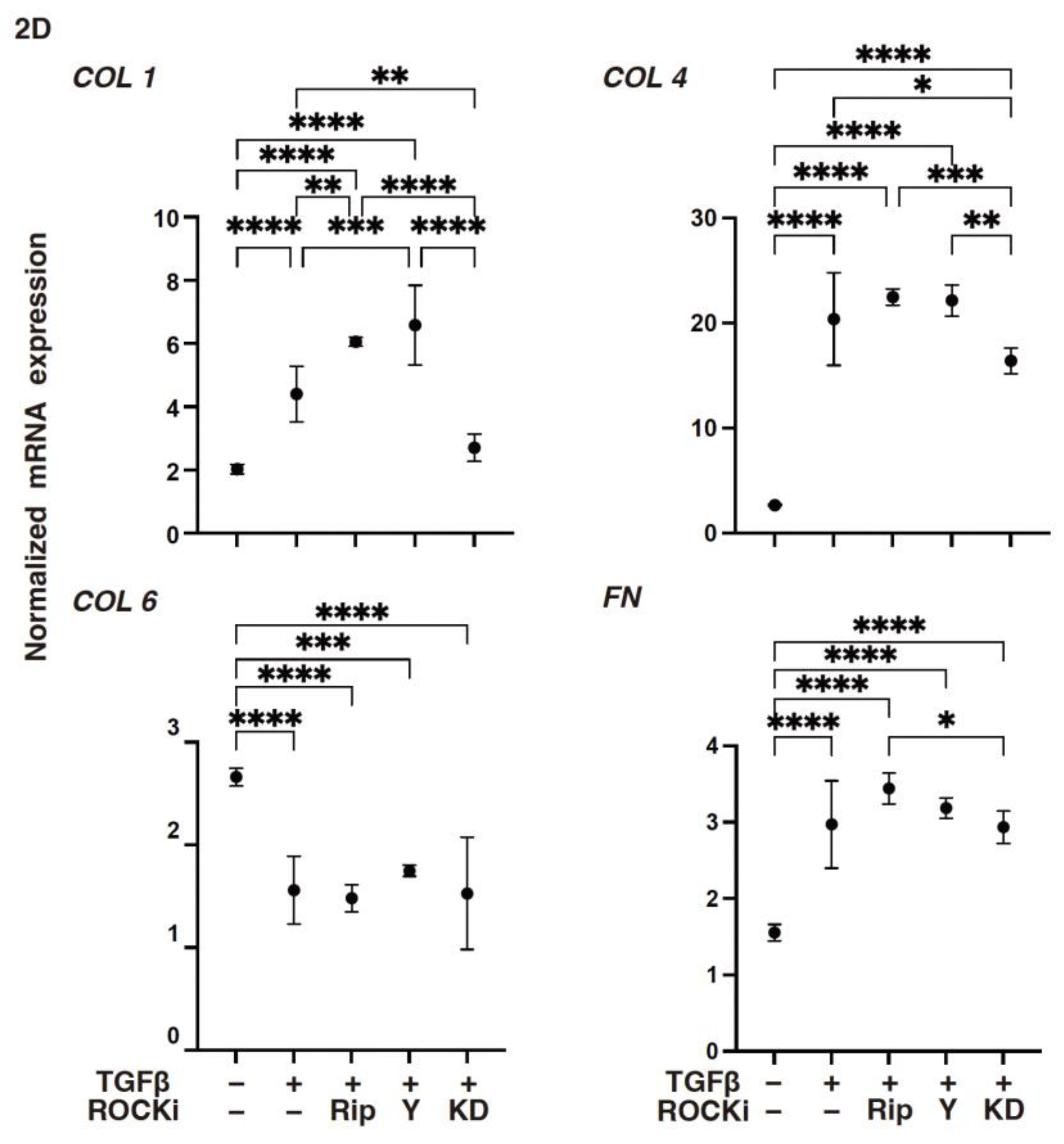 Biomedicines 12 02784 g002 Biomedicines 12 02784 g002