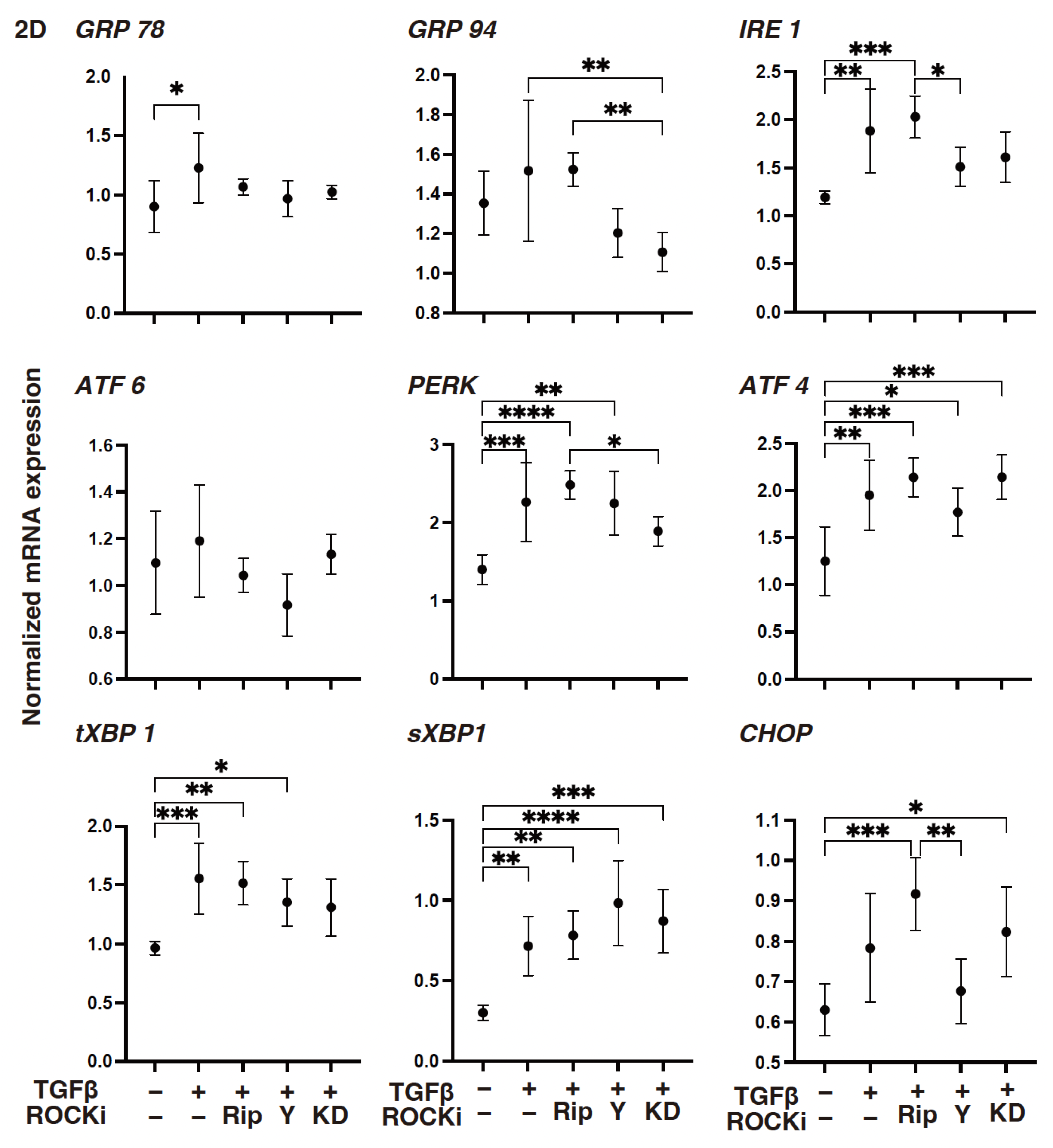 Biomedicines 12 02784 g004 Biomedicines 12 02784 g004