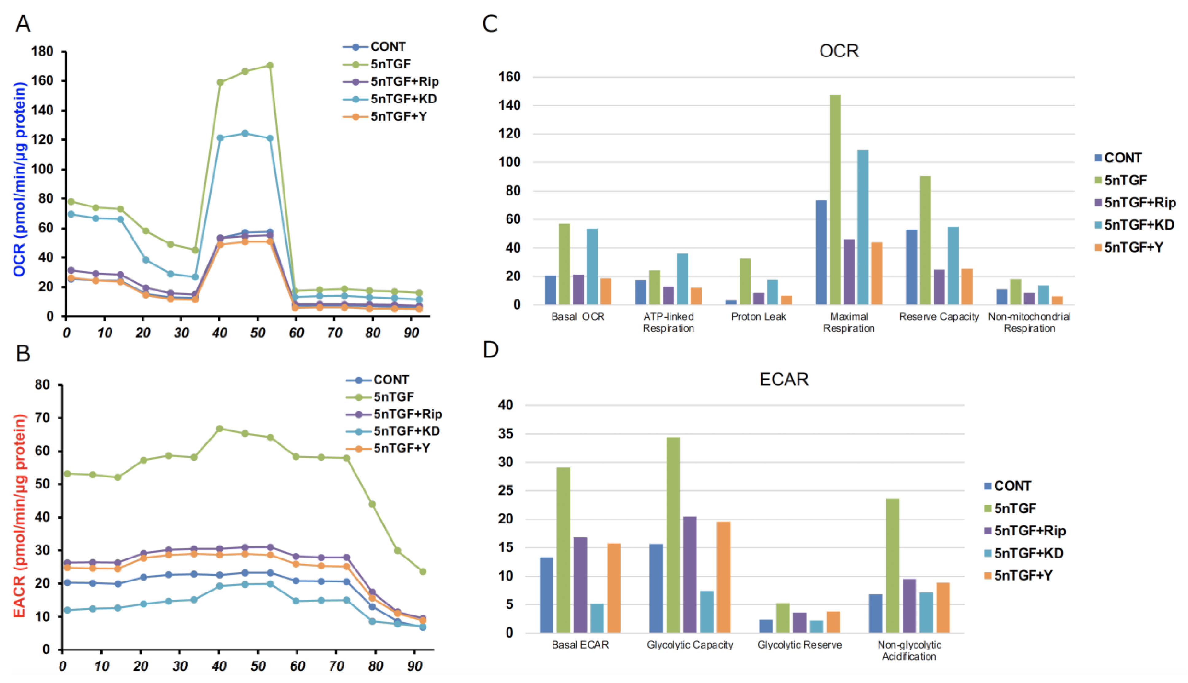 Biomedicines 12 02784 g005 Biomedicines 12 02784 g005