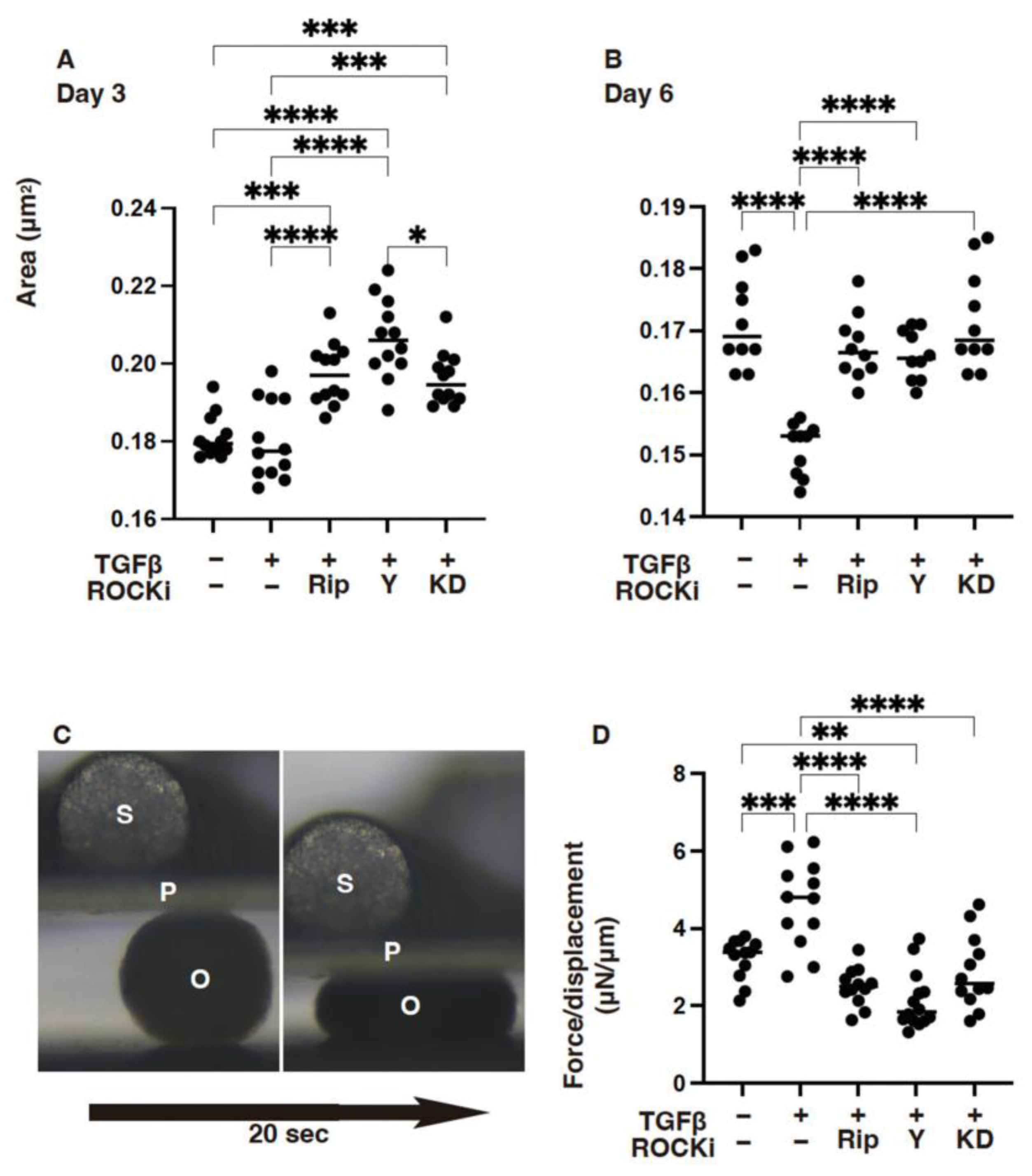 Biomedicines 12 02784 g006 Biomedicines 12 02784 g006