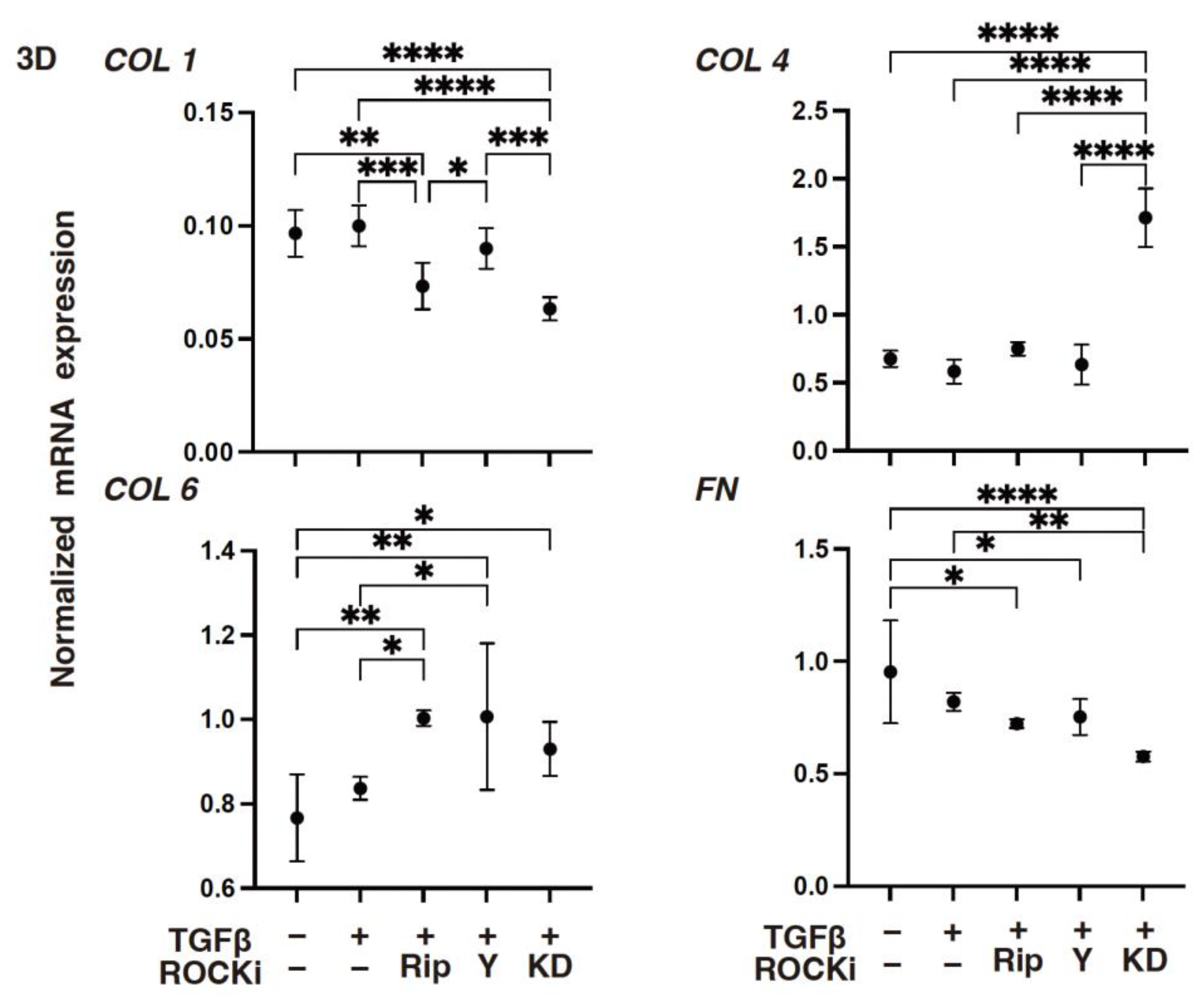 Biomedicines 12 02784 g007 Biomedicines 12 02784 g007