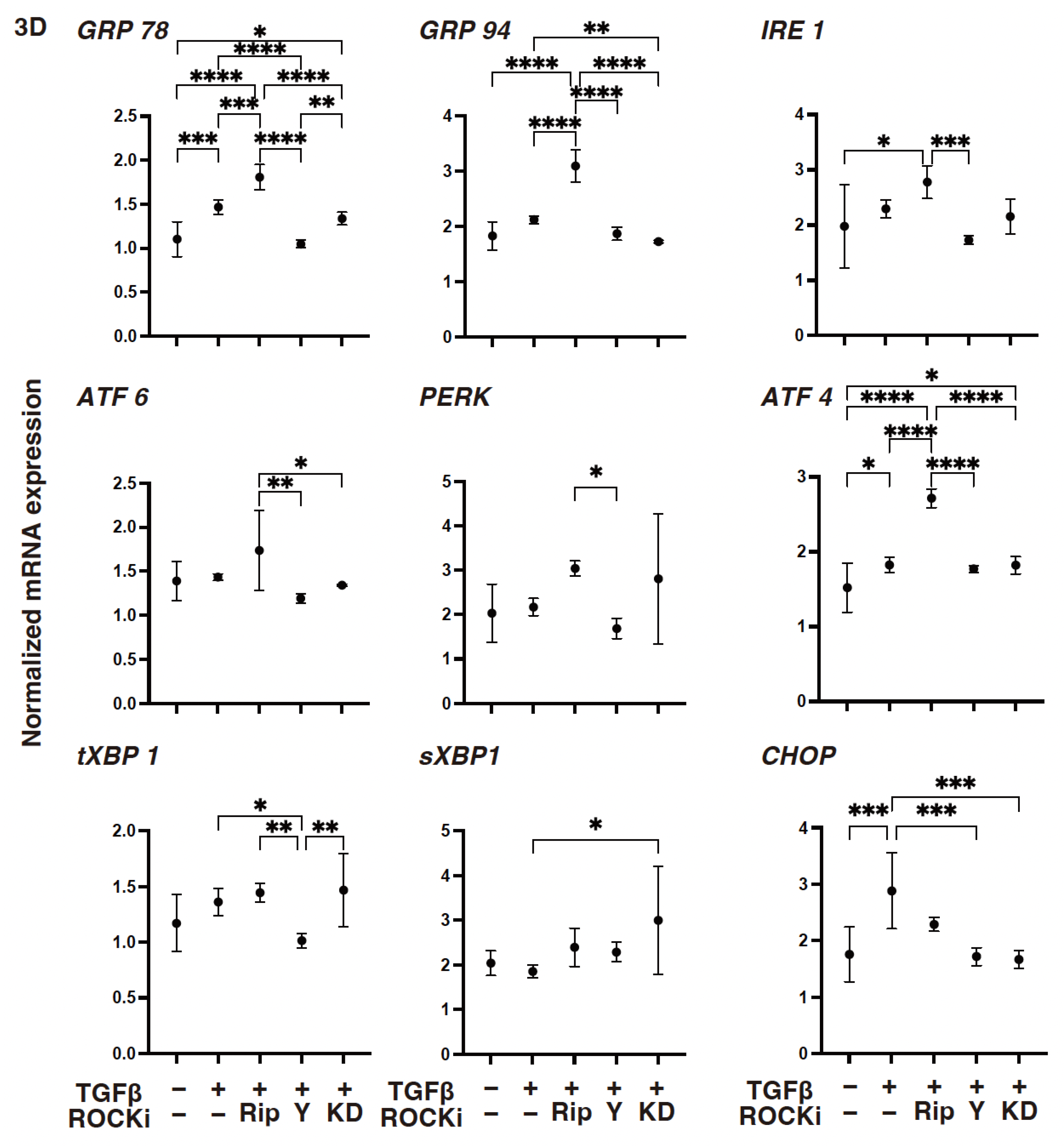 Biomedicines 12 02784 g009 Biomedicines 12 02784 g009