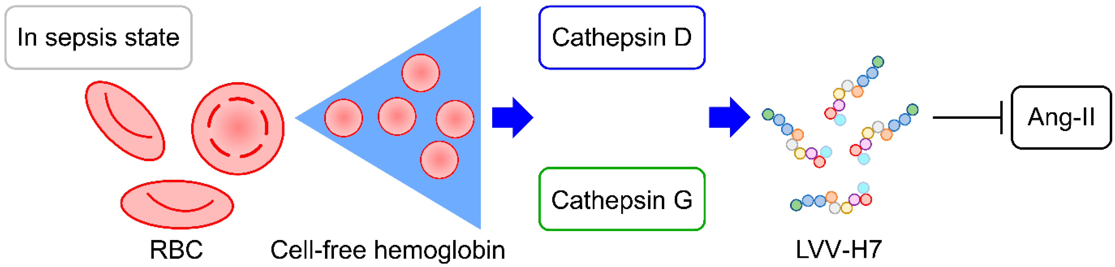 Biomedicines 12 02789 g005