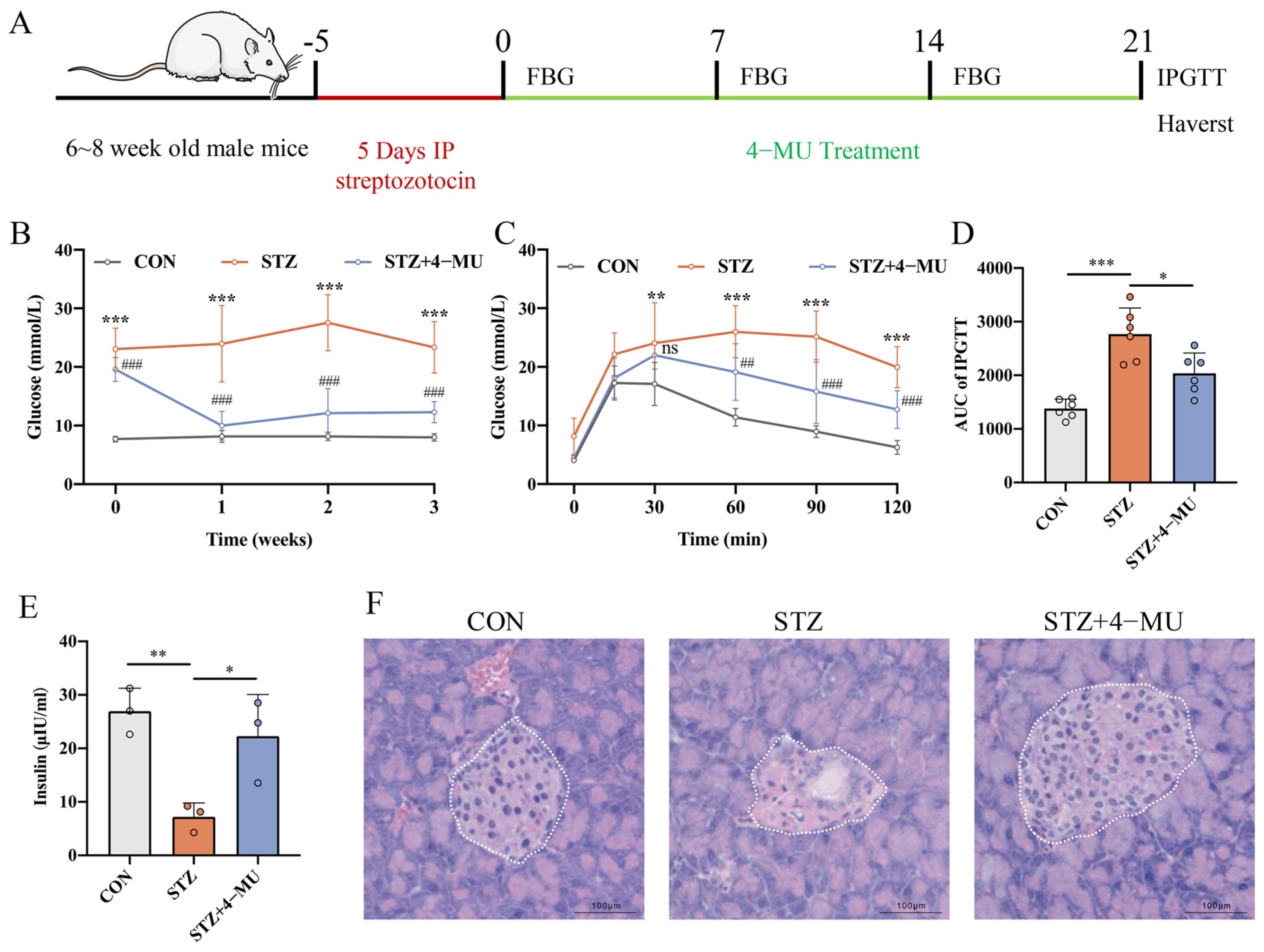 Biomedicines 12 02790 g001