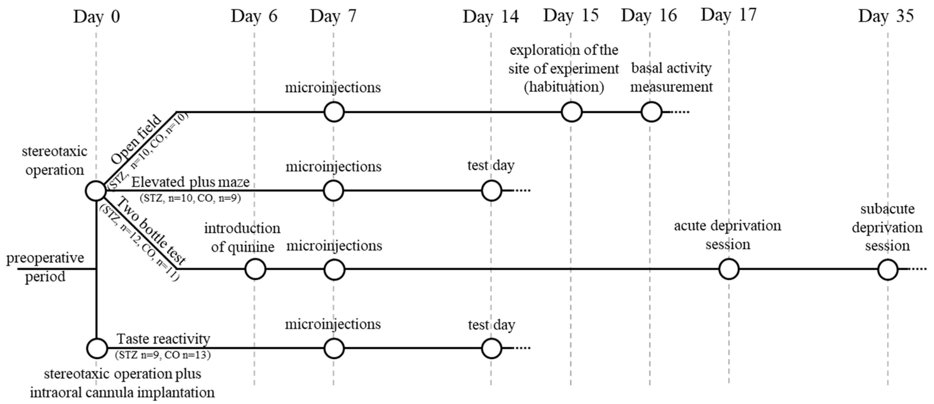 Biomedicines 12 02803 g001
