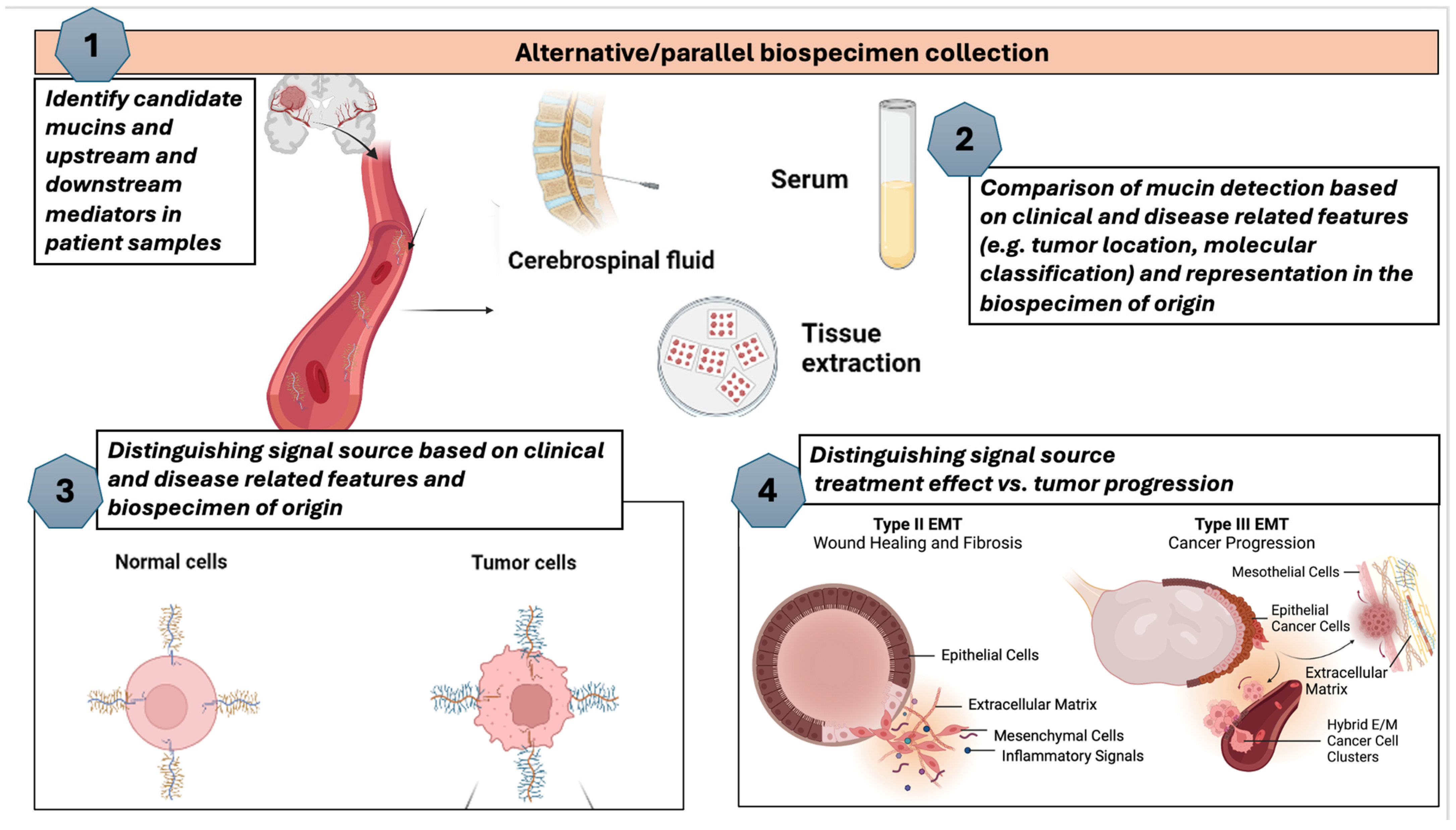 Biomedicines 12 02806 g005