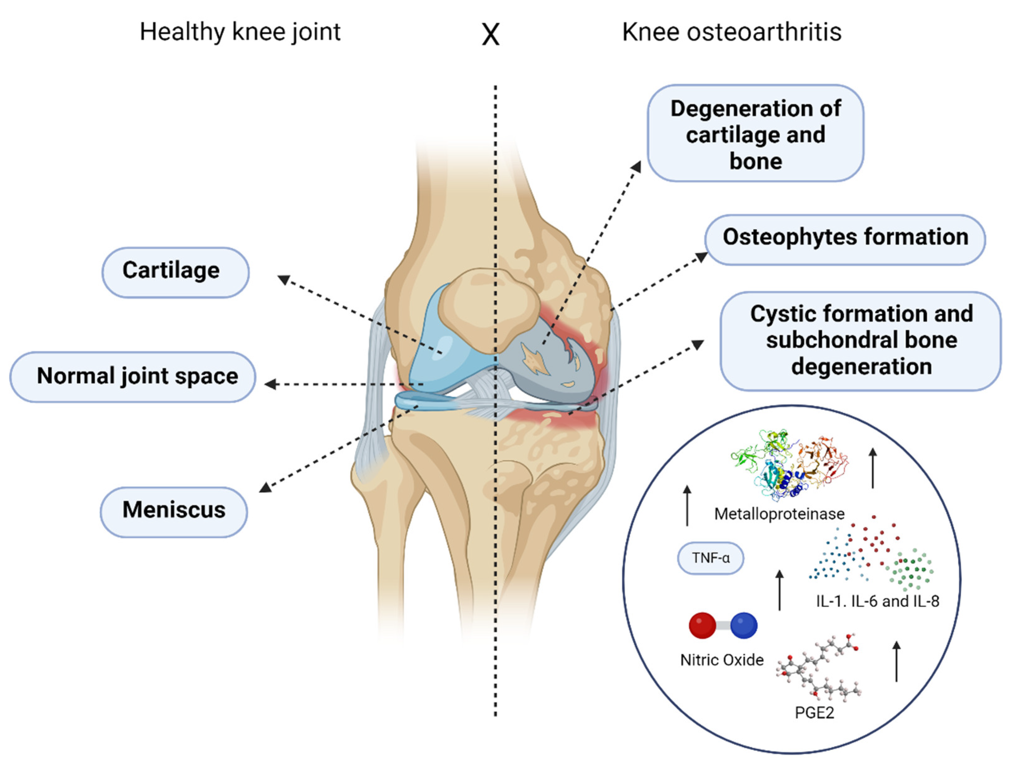 Biomedicines 12 02812 g001