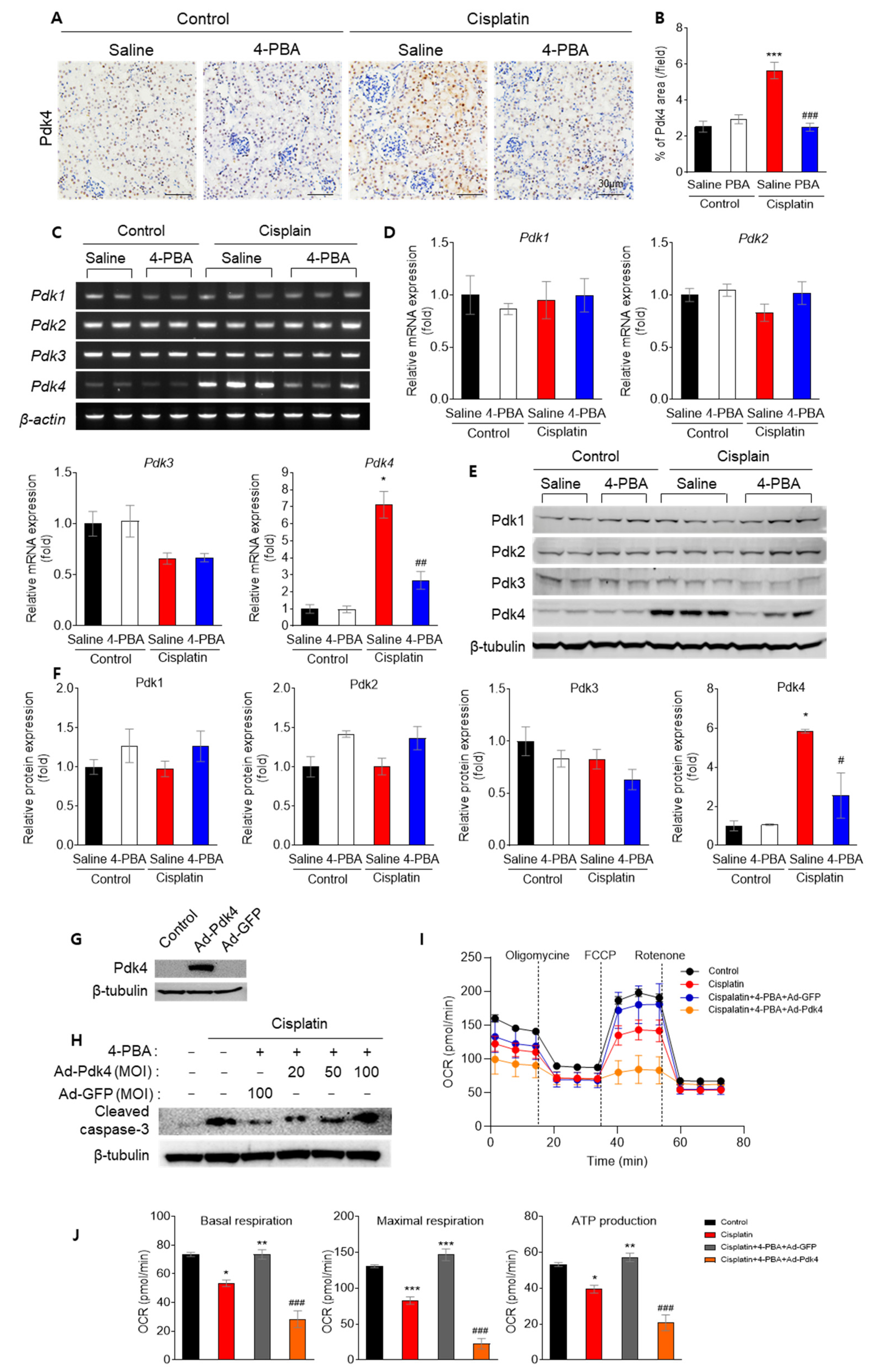 Biomedicines 12 02815 g005