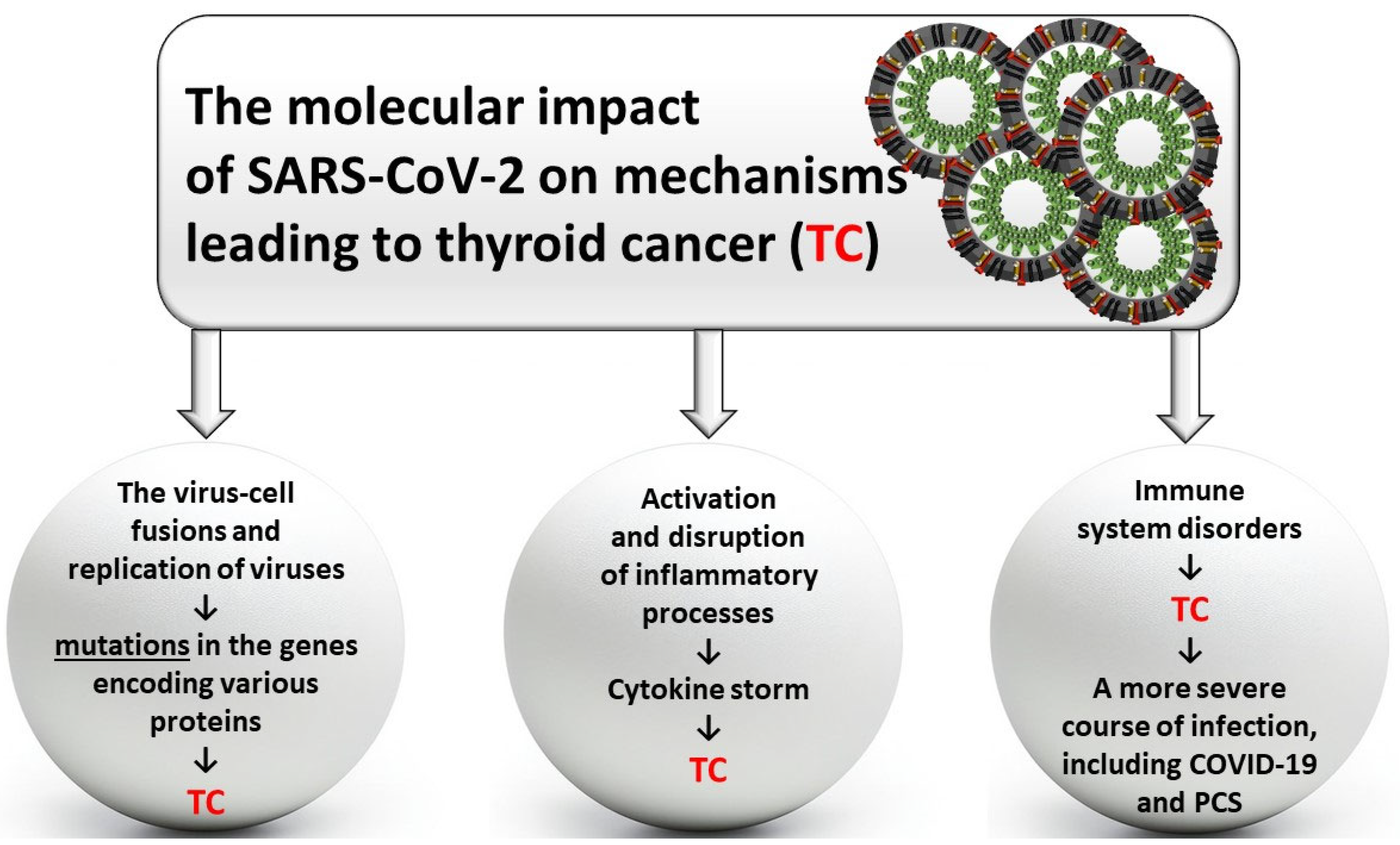 Biomedicines 12 02829 g001