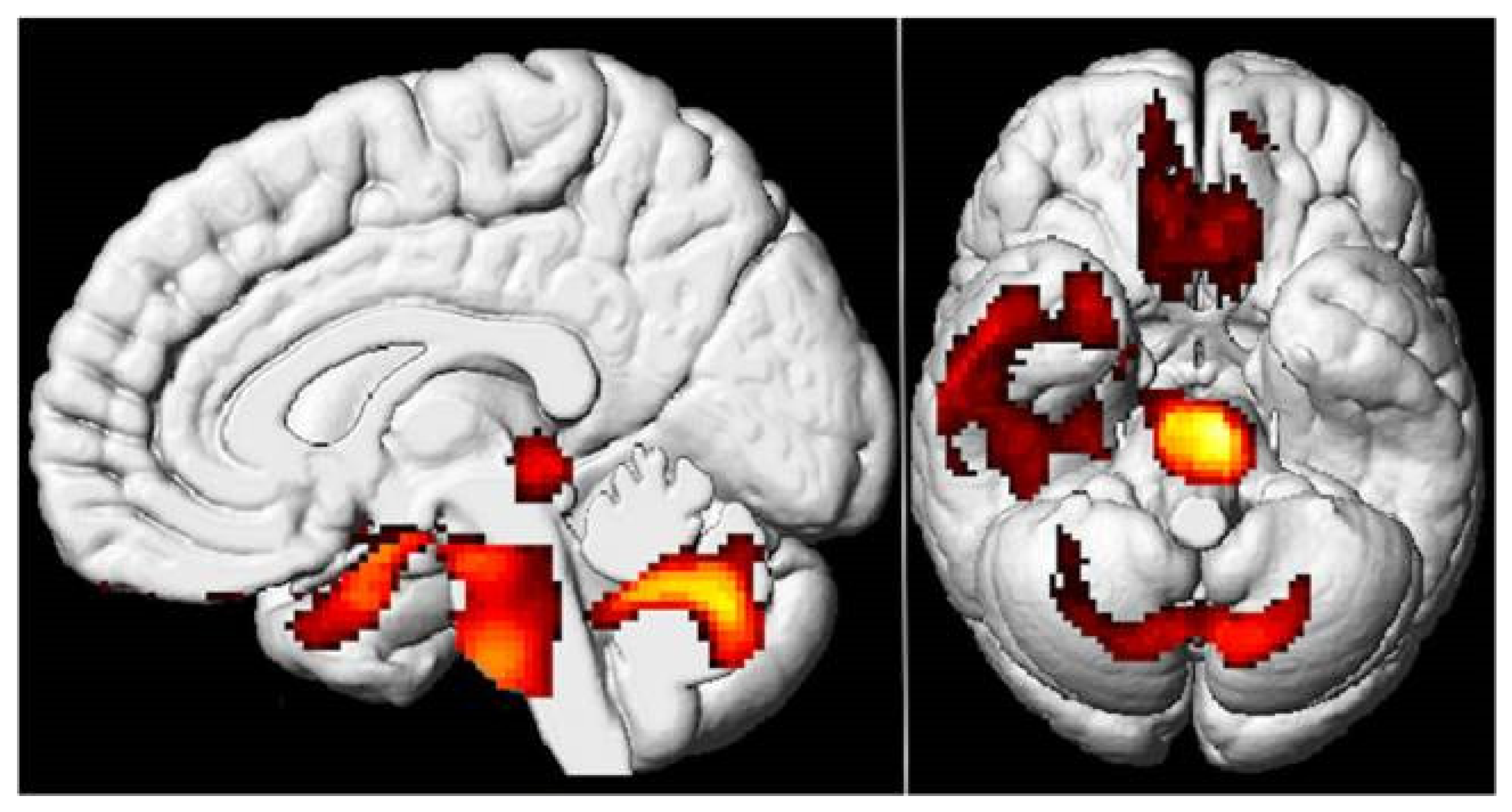 Biomedicines 12 02831 g002