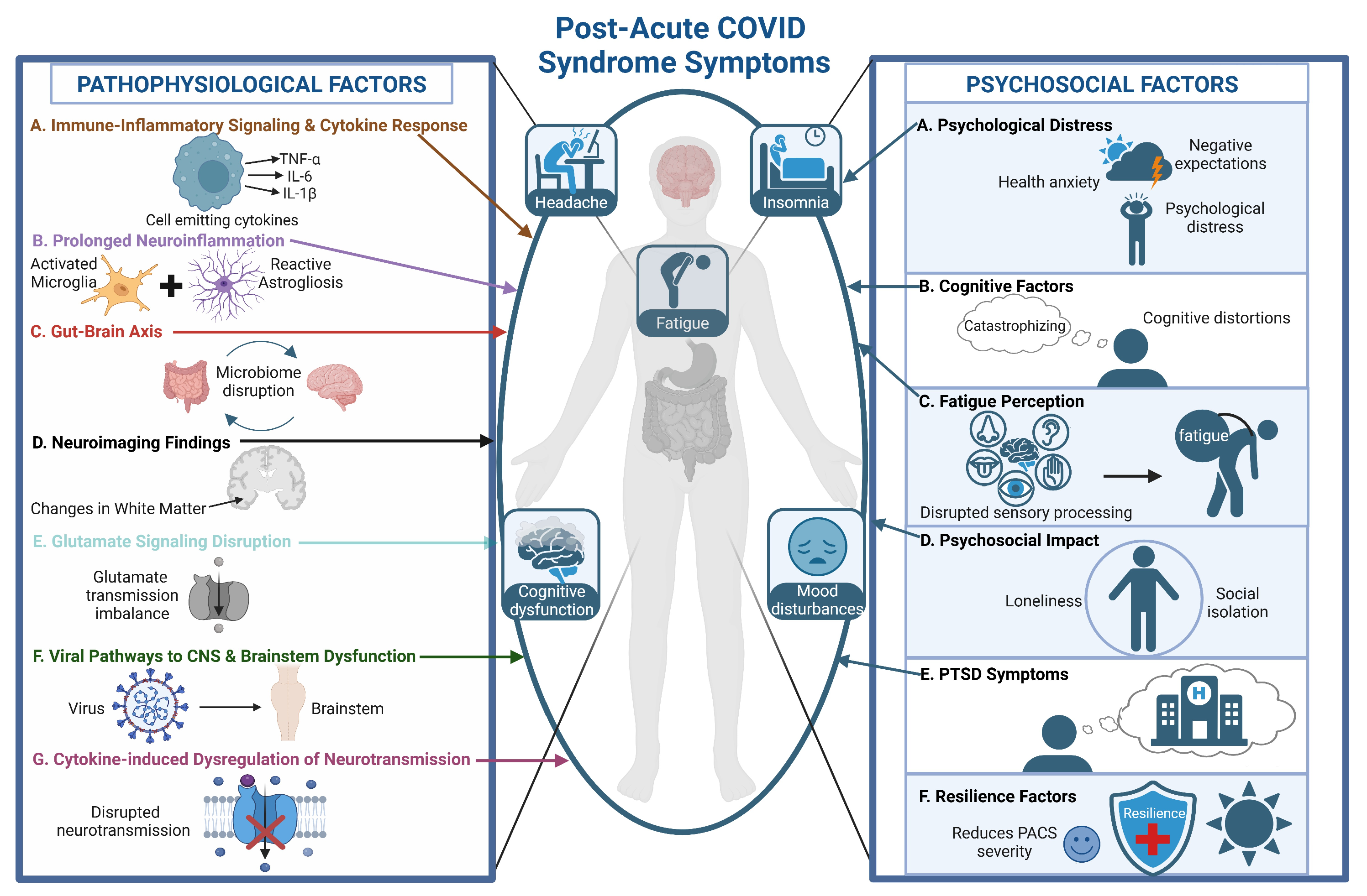 Biomedicines 12 02831 g003