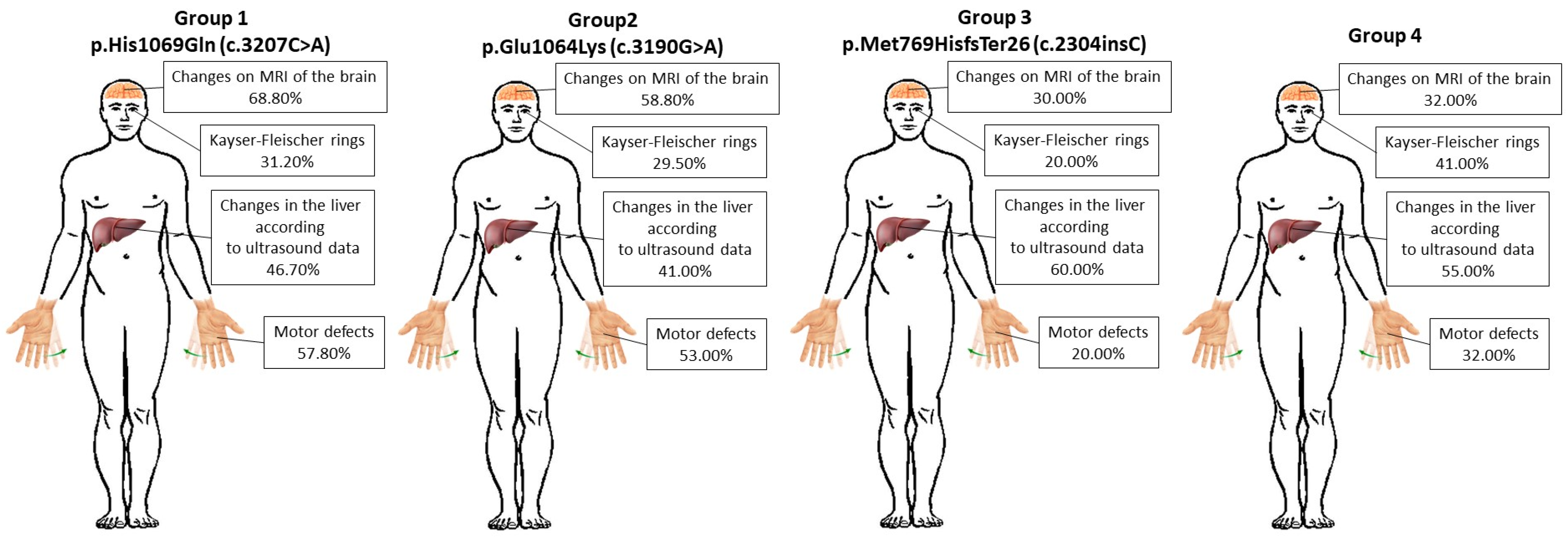 Biomedicines 12 02833 g005