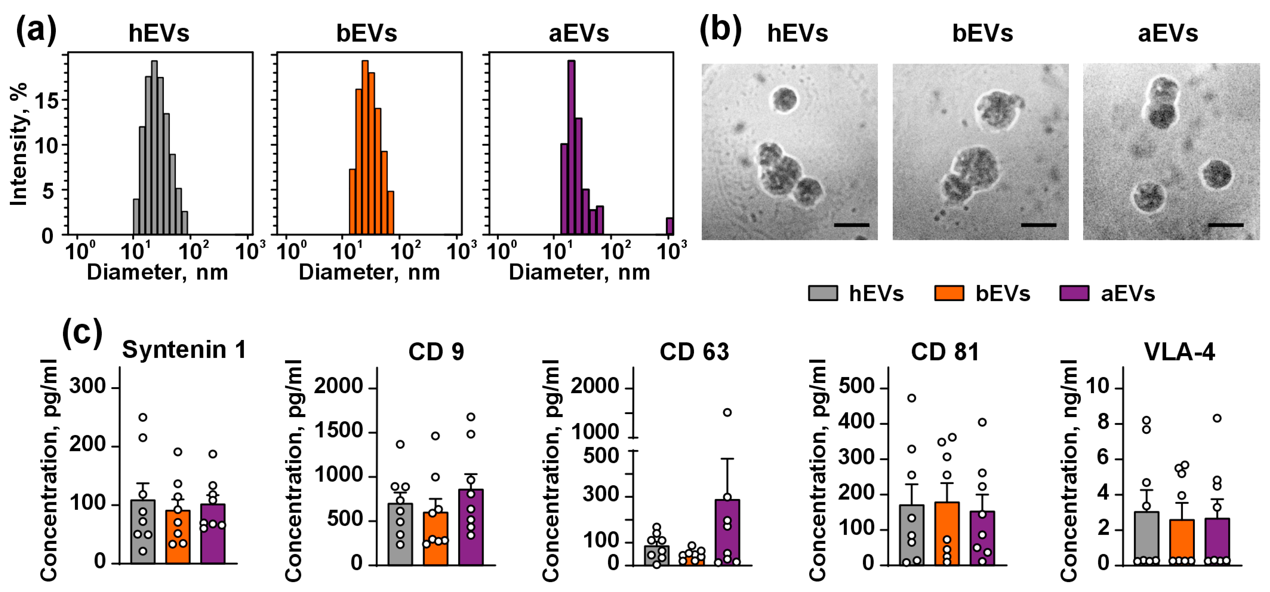Biomedicines 12 02834 g001