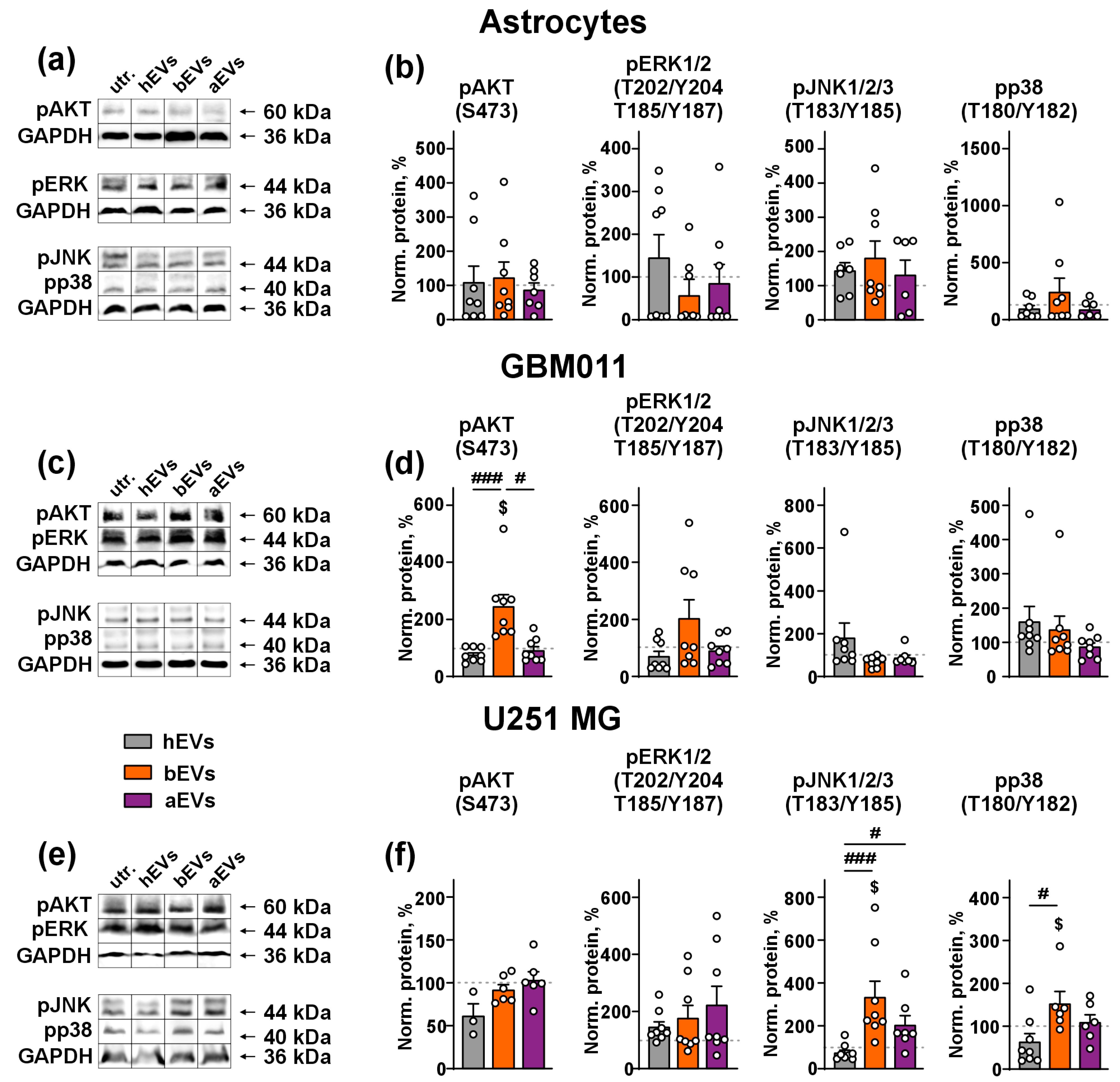 Biomedicines 12 02834 g003