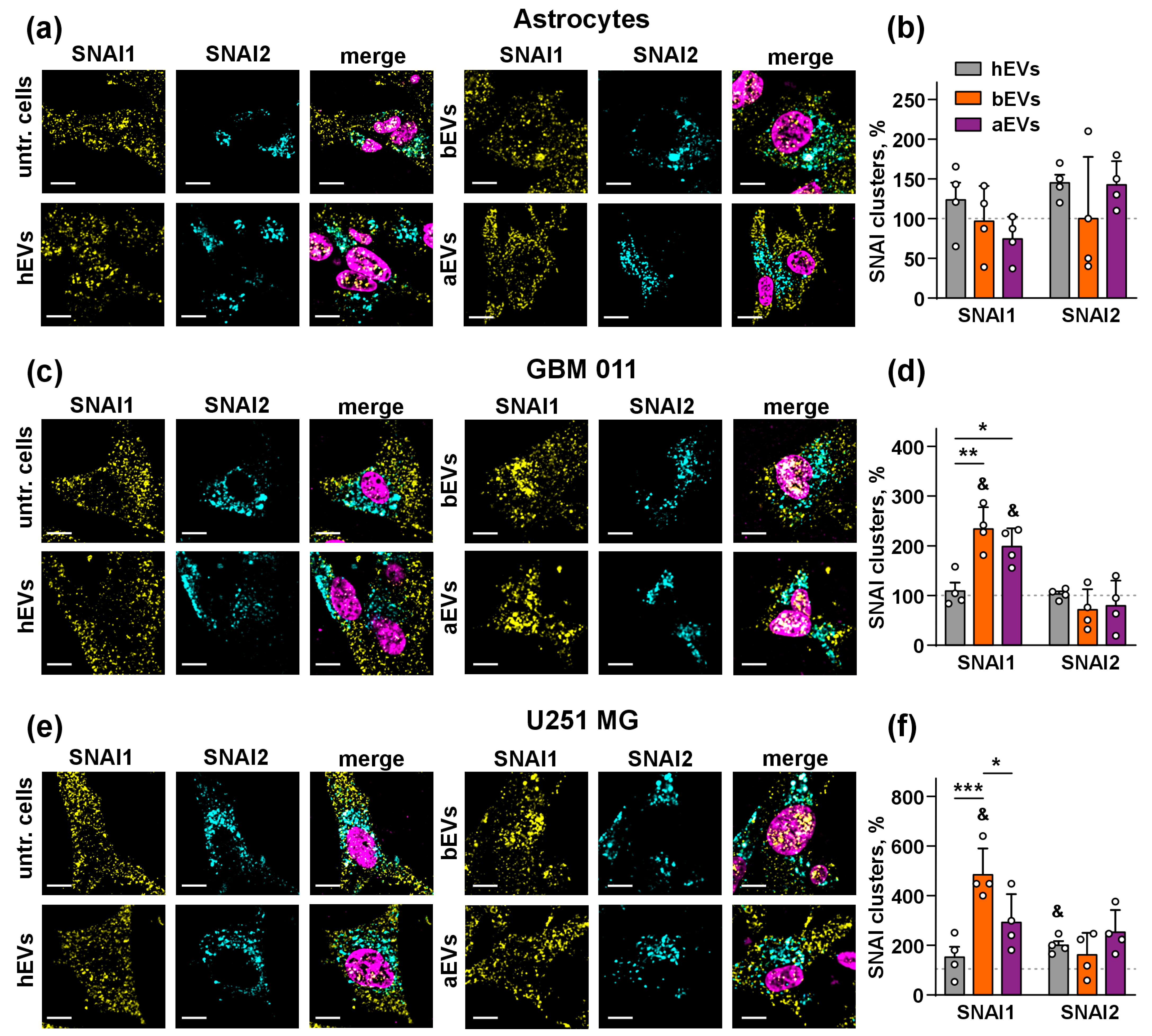 Biomedicines 12 02834 g004
