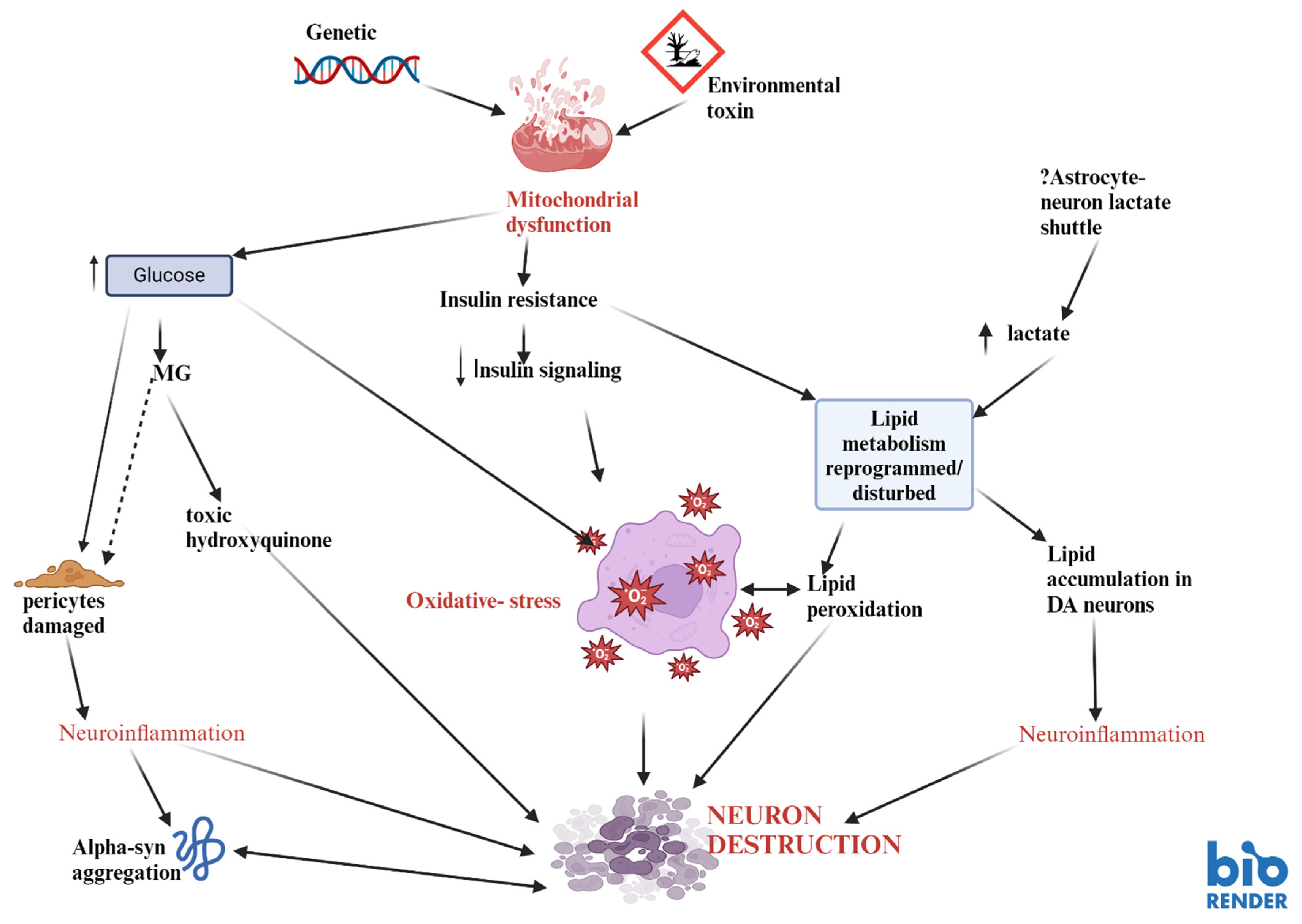 Biomedicines 12 02841 g001