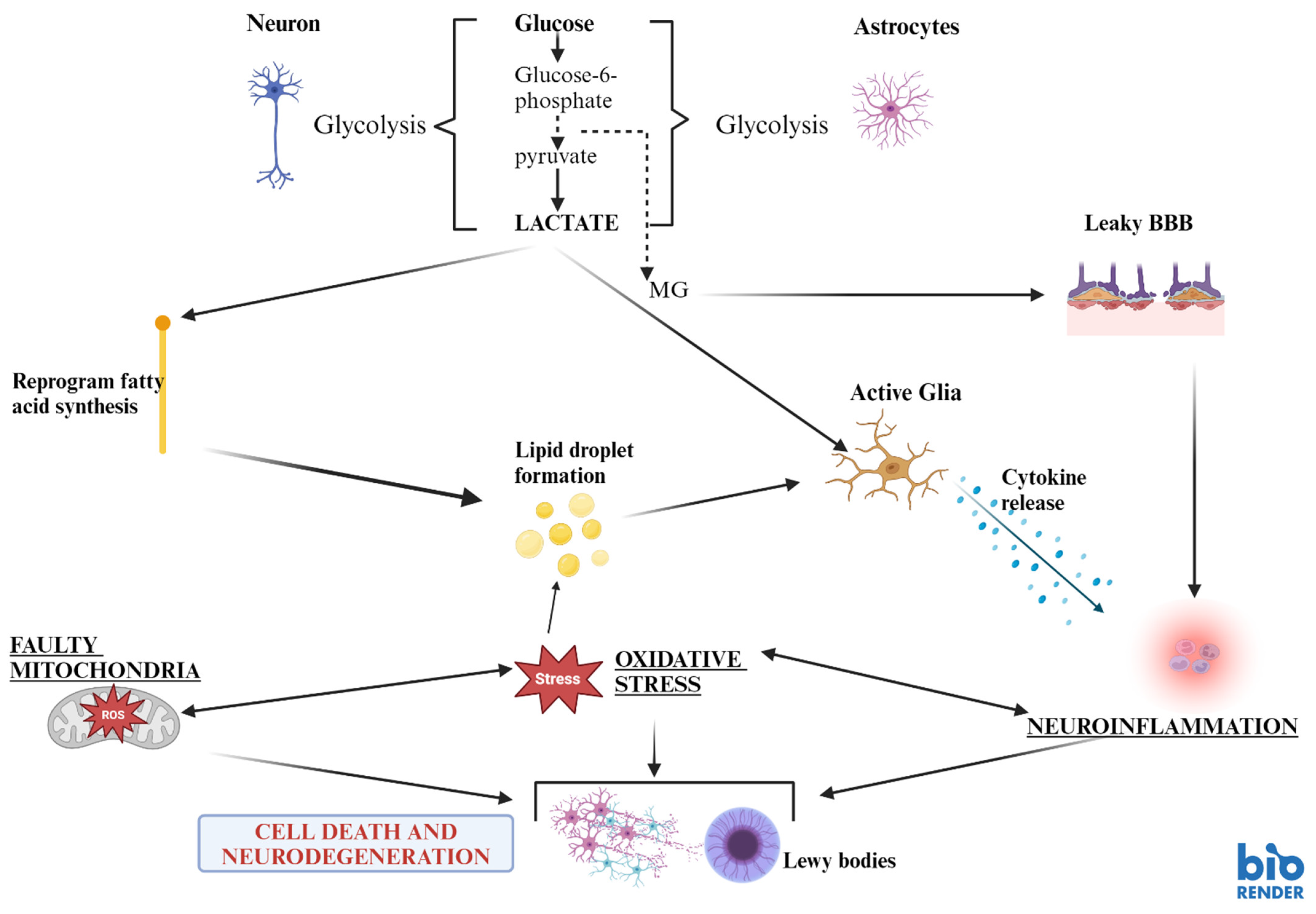 Biomedicines 12 02841 g002