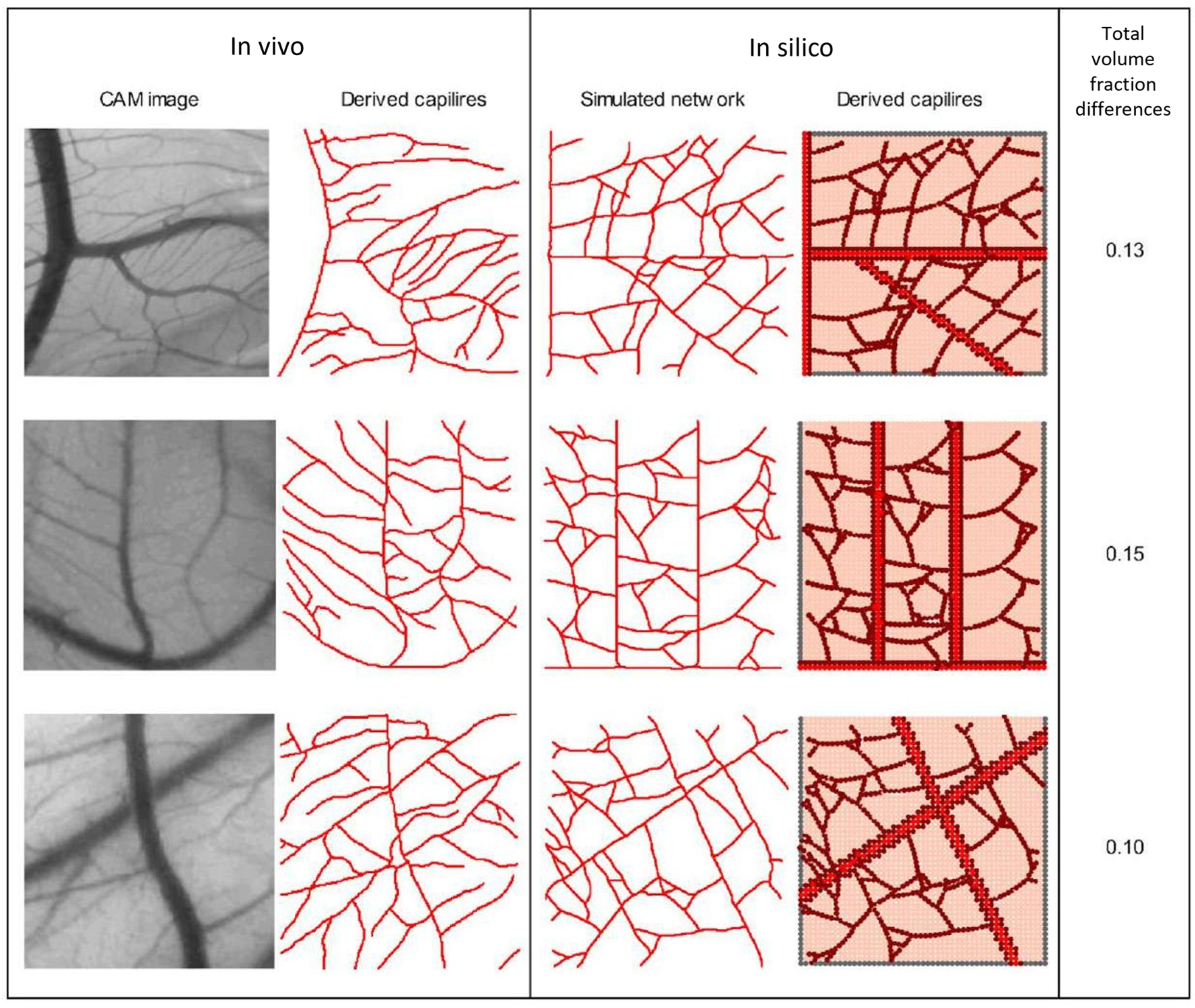 Biomedicines 12 02845 g002
