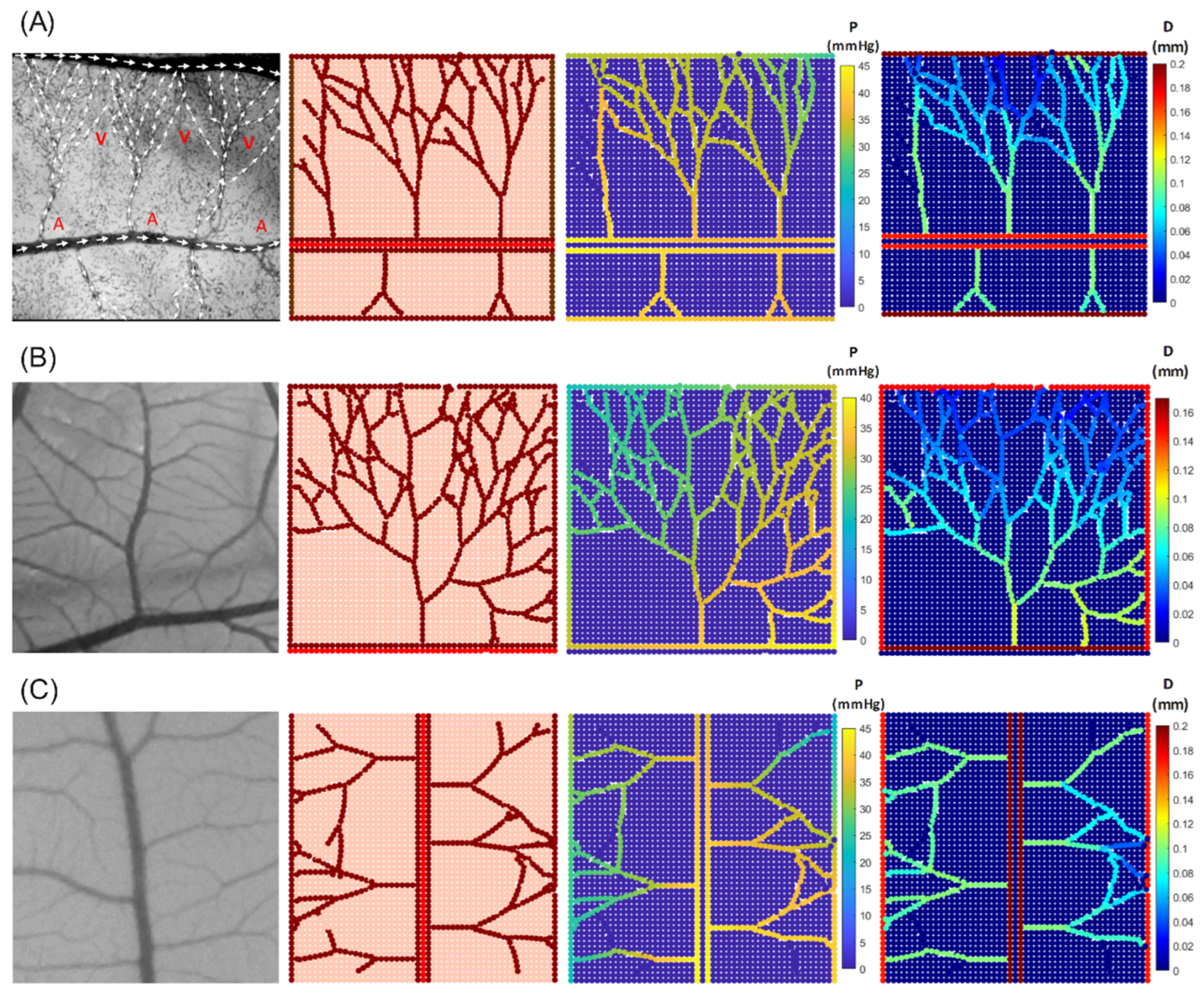 Biomedicines 12 02845 g004