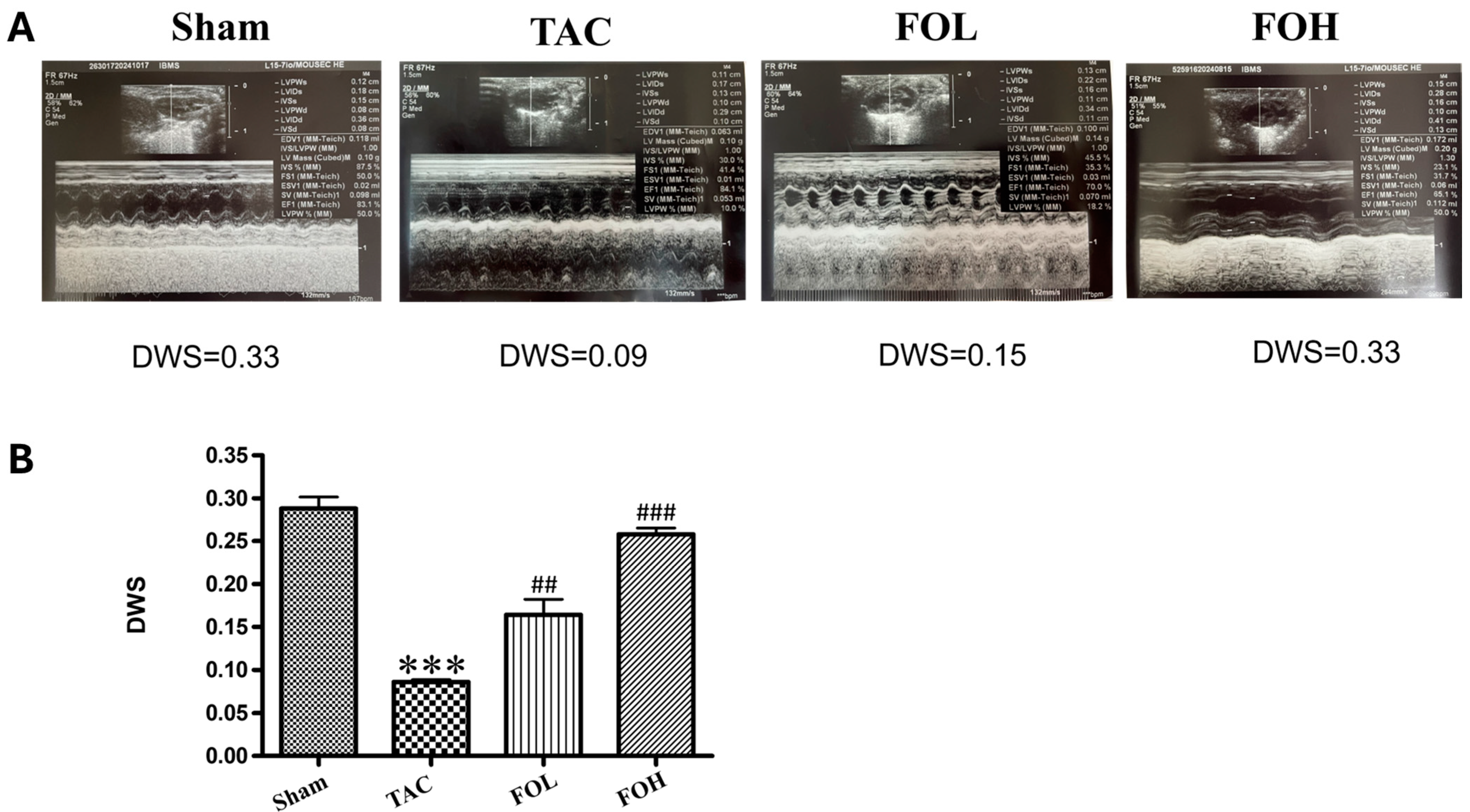 Biomedicines 12 02847 g003