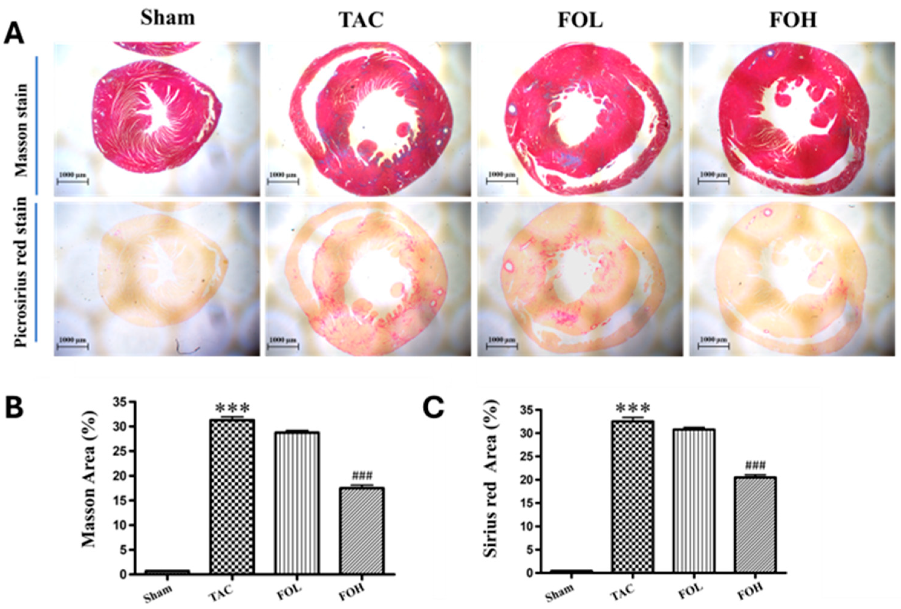 Biomedicines 12 02847 g004