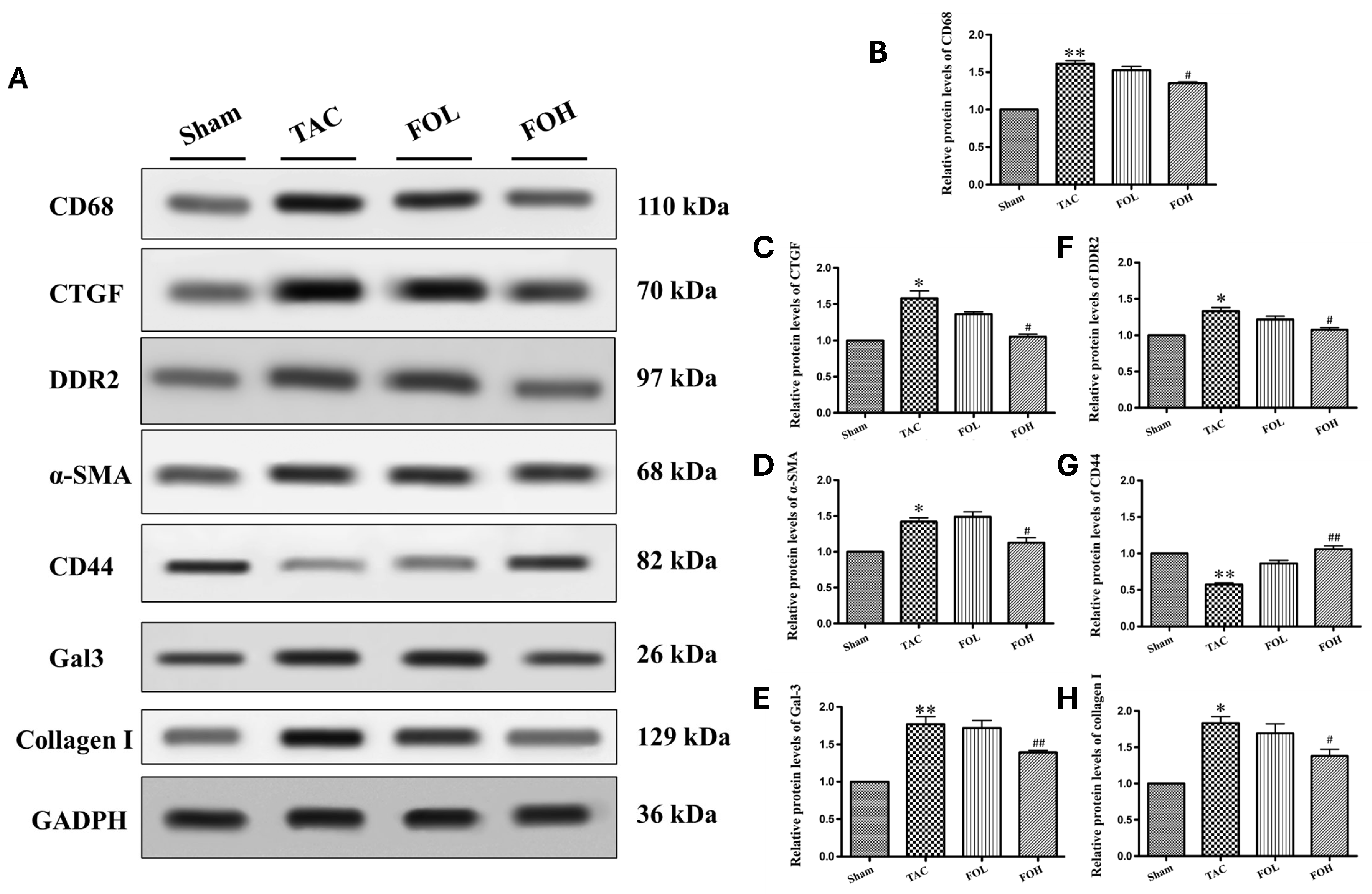 Biomedicines 12 02847 g006