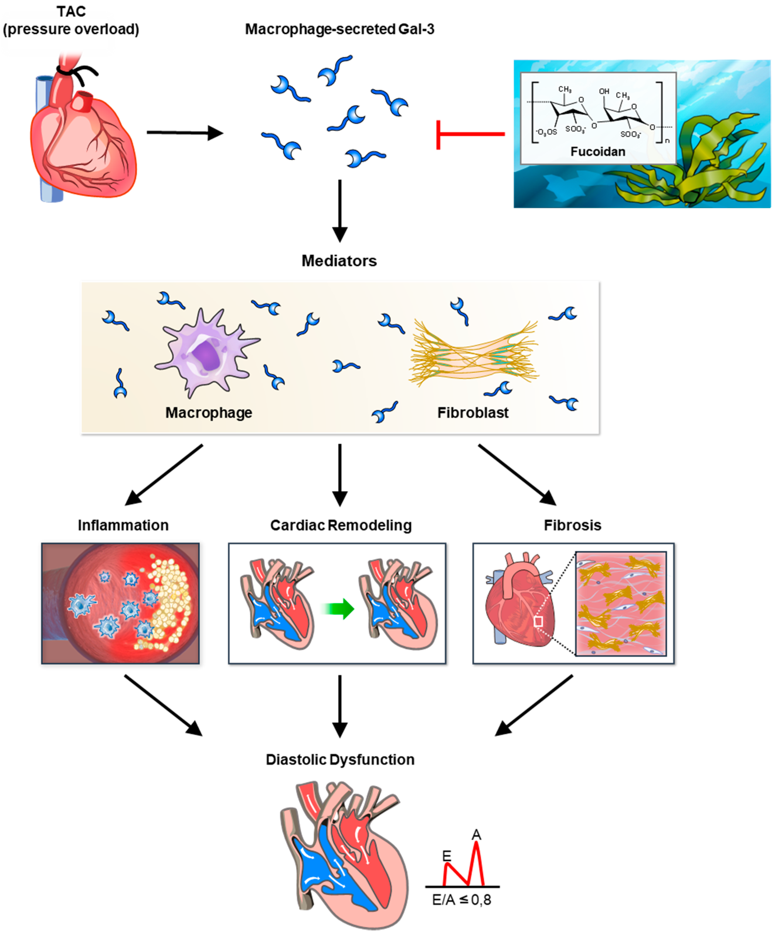 Biomedicines 12 02847 g007