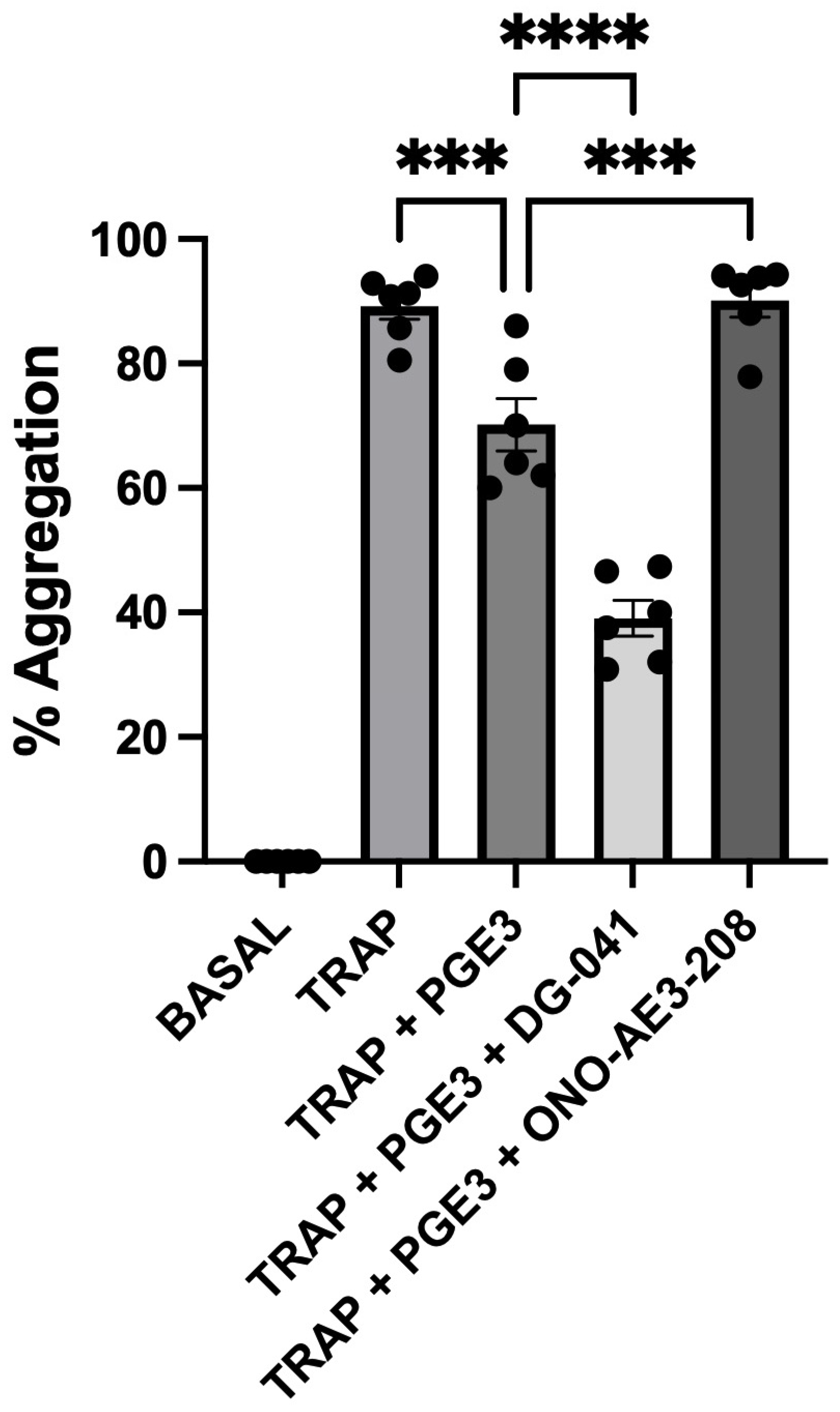 Biomedicines 12 02855 g001