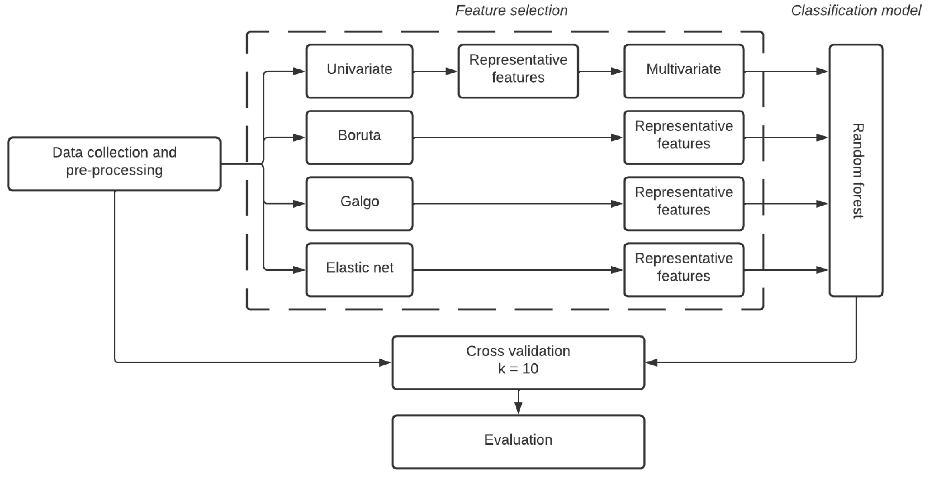 Biomedicines 12 02858 g001