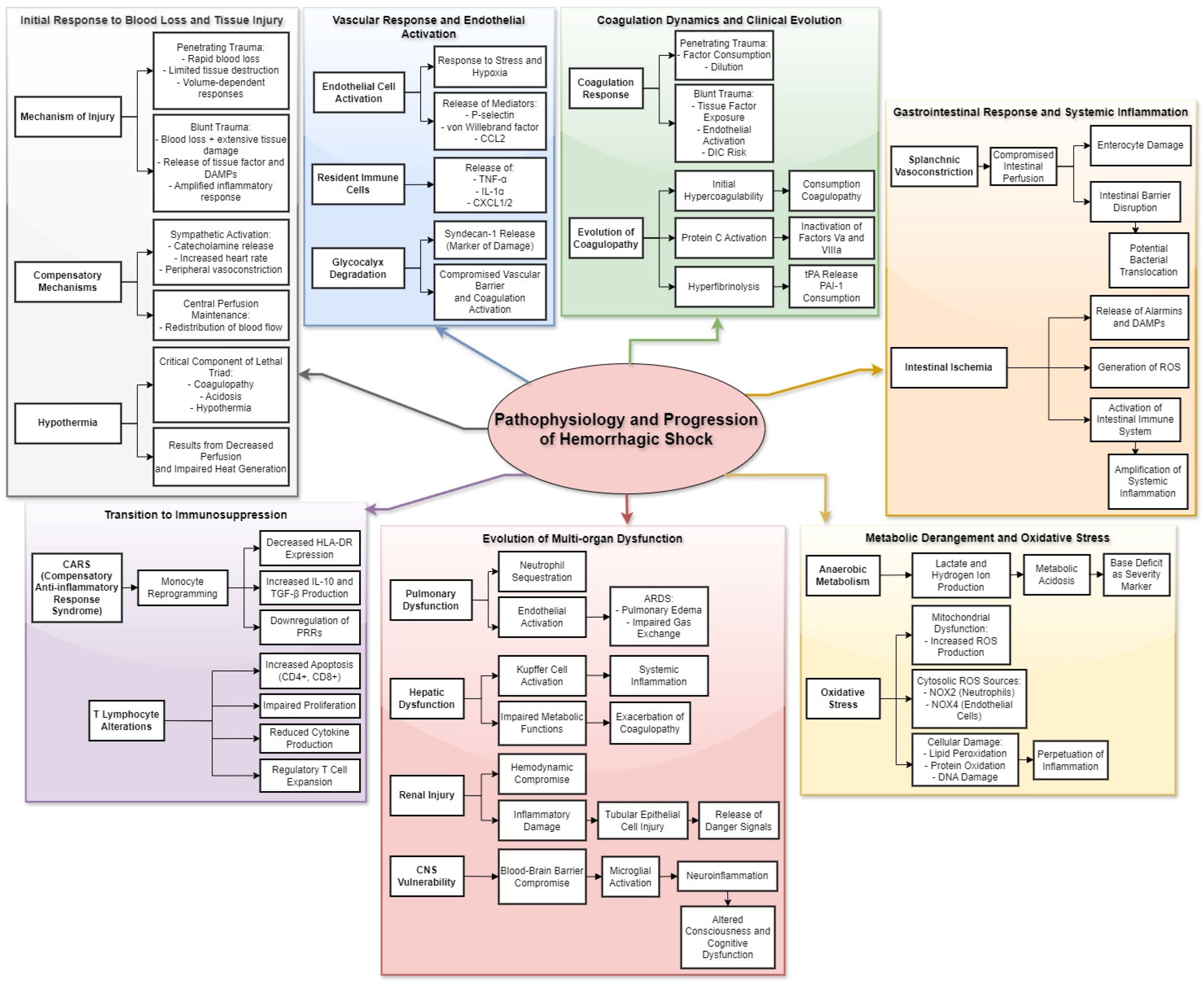 Biomedicines 12 02864 g002