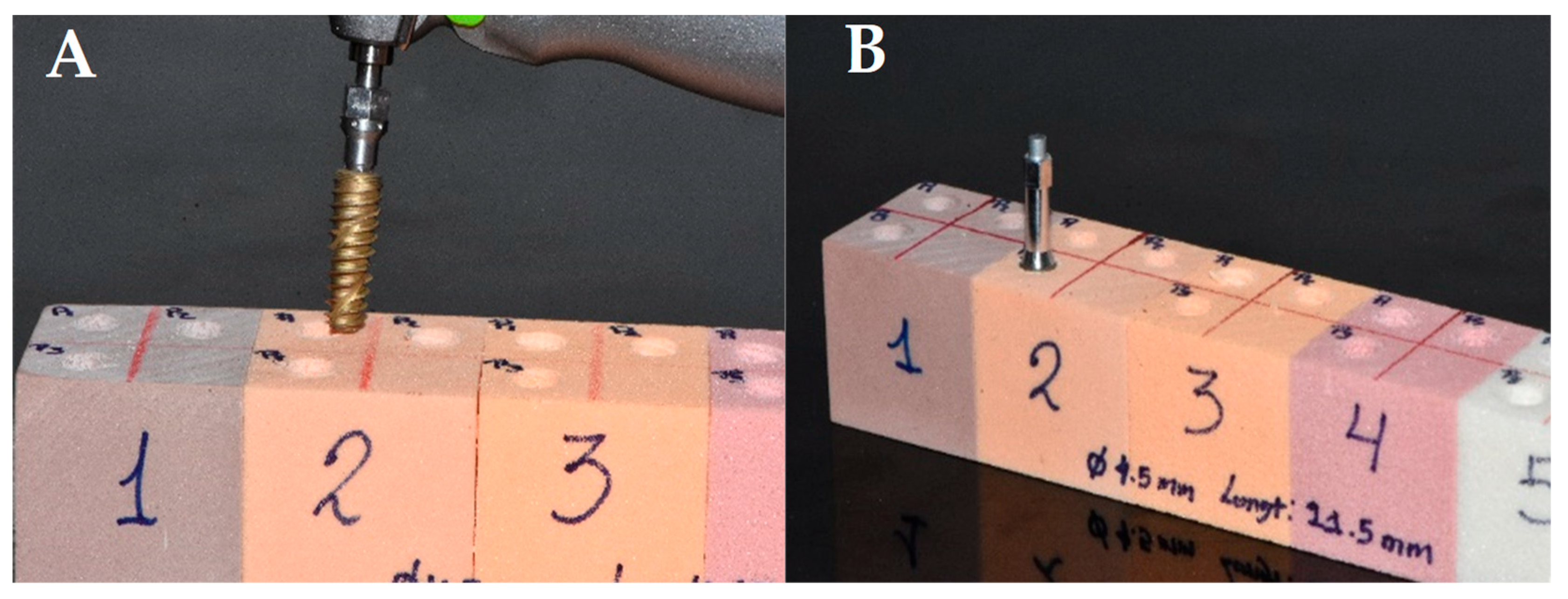 Biomedicines 12 02878 g001