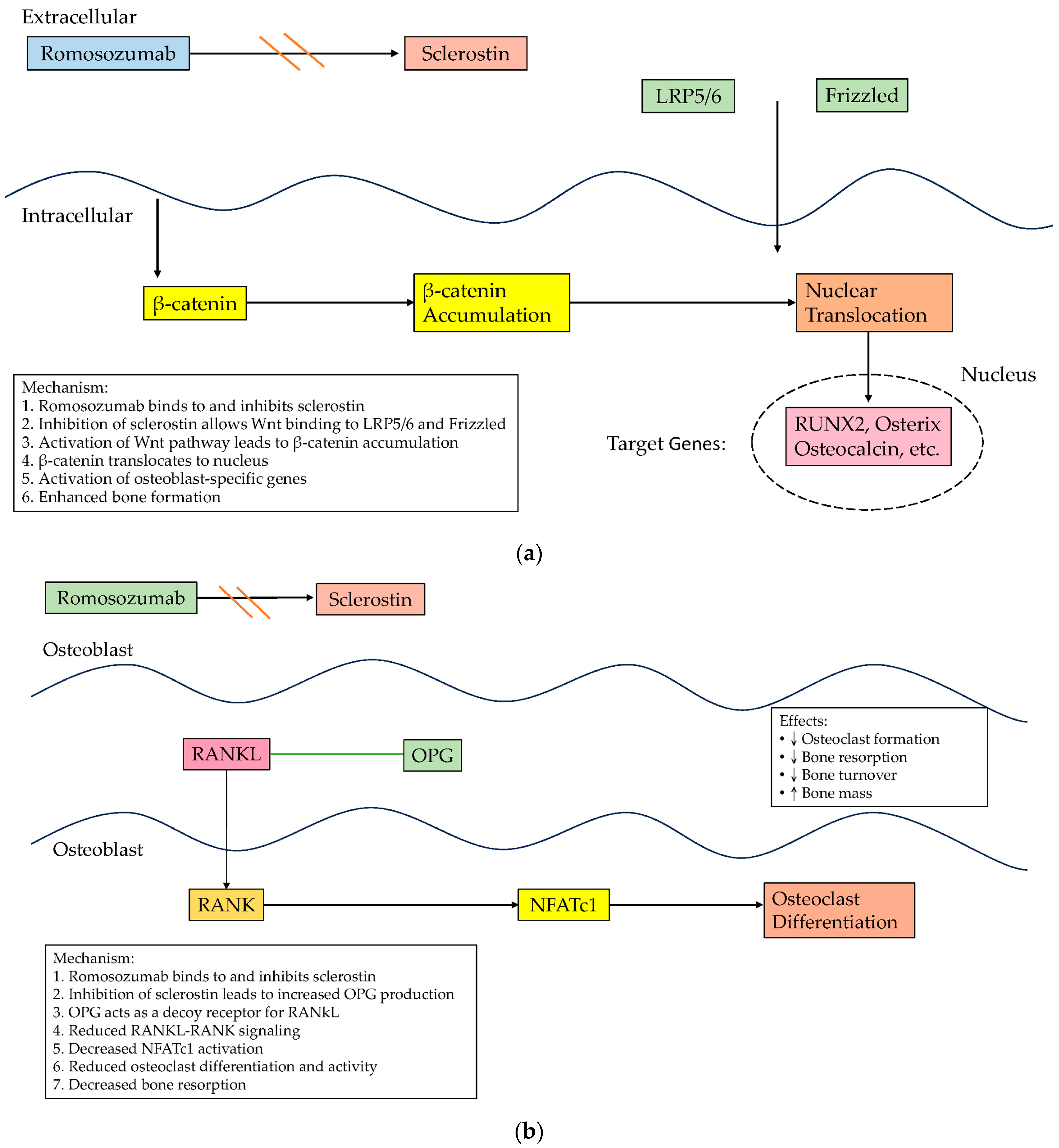 Biomedicines 12 02880 g001